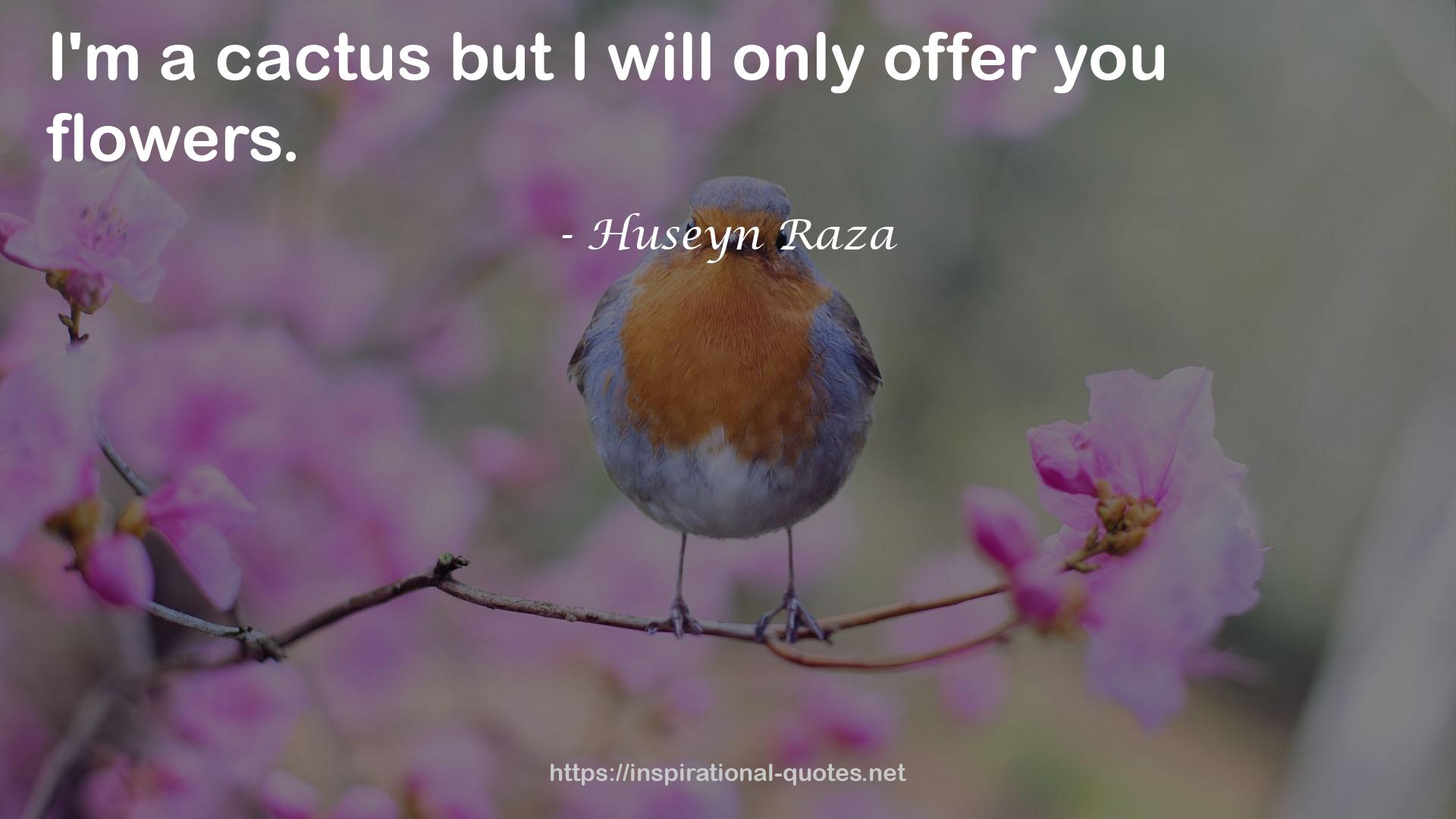 Huseyn Raza QUOTES