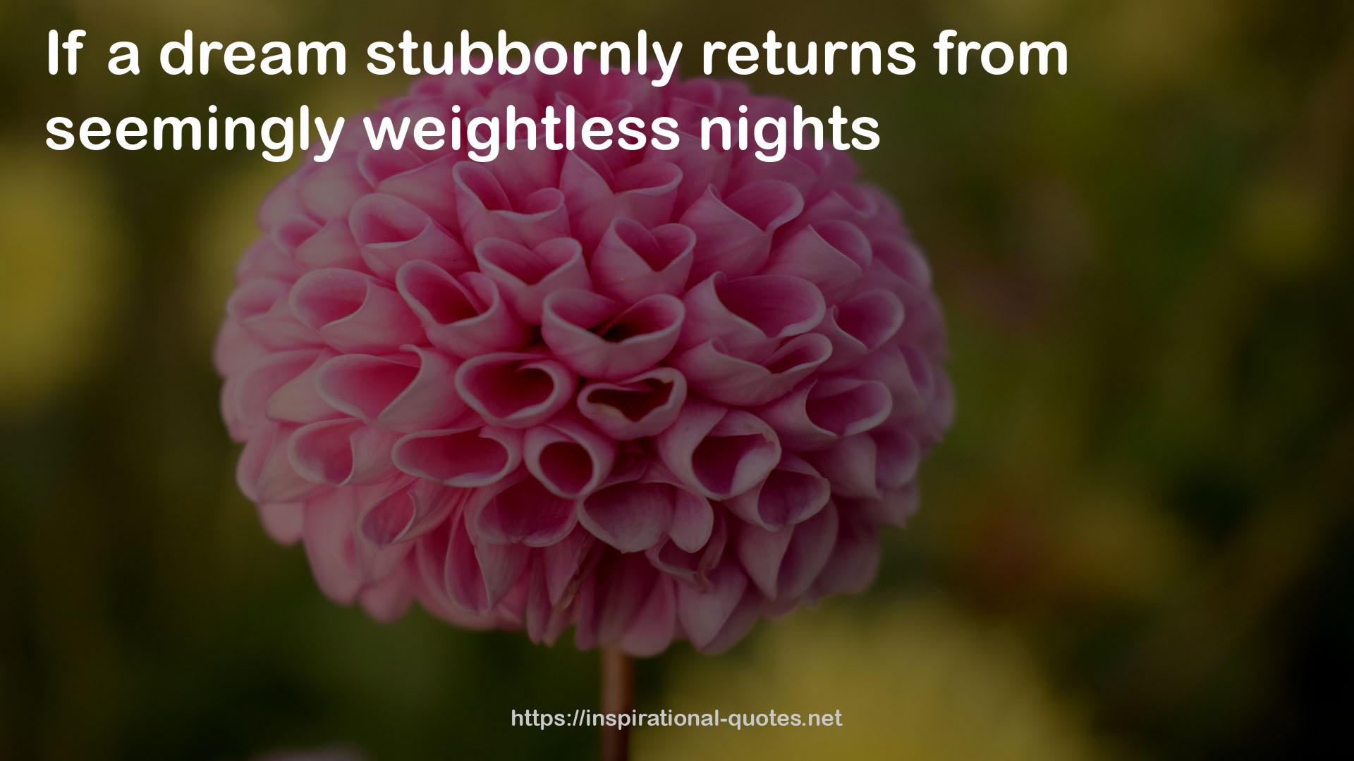 Stubbornly  QUOTES