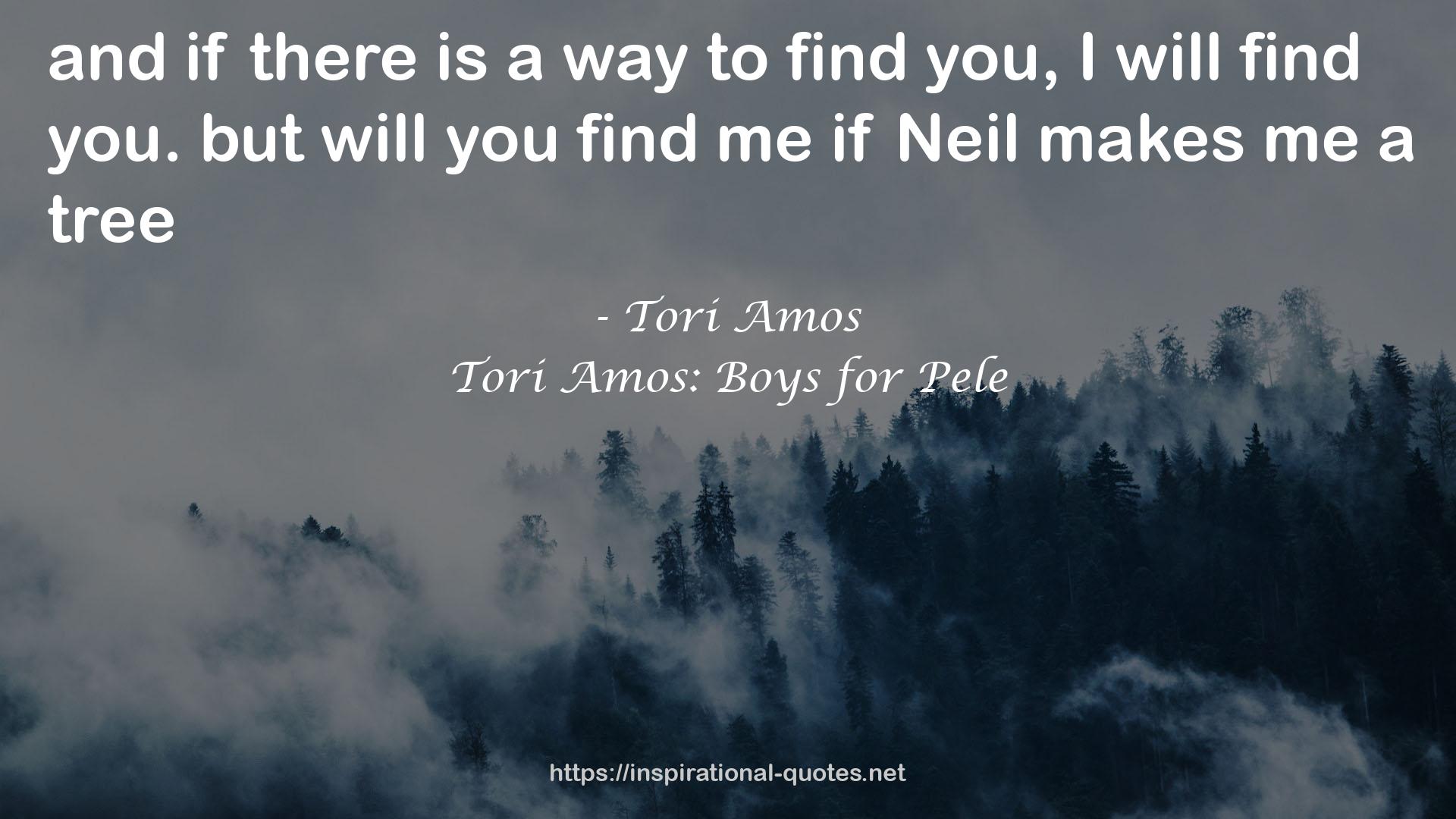 Tori Amos: Boys for Pele QUOTES