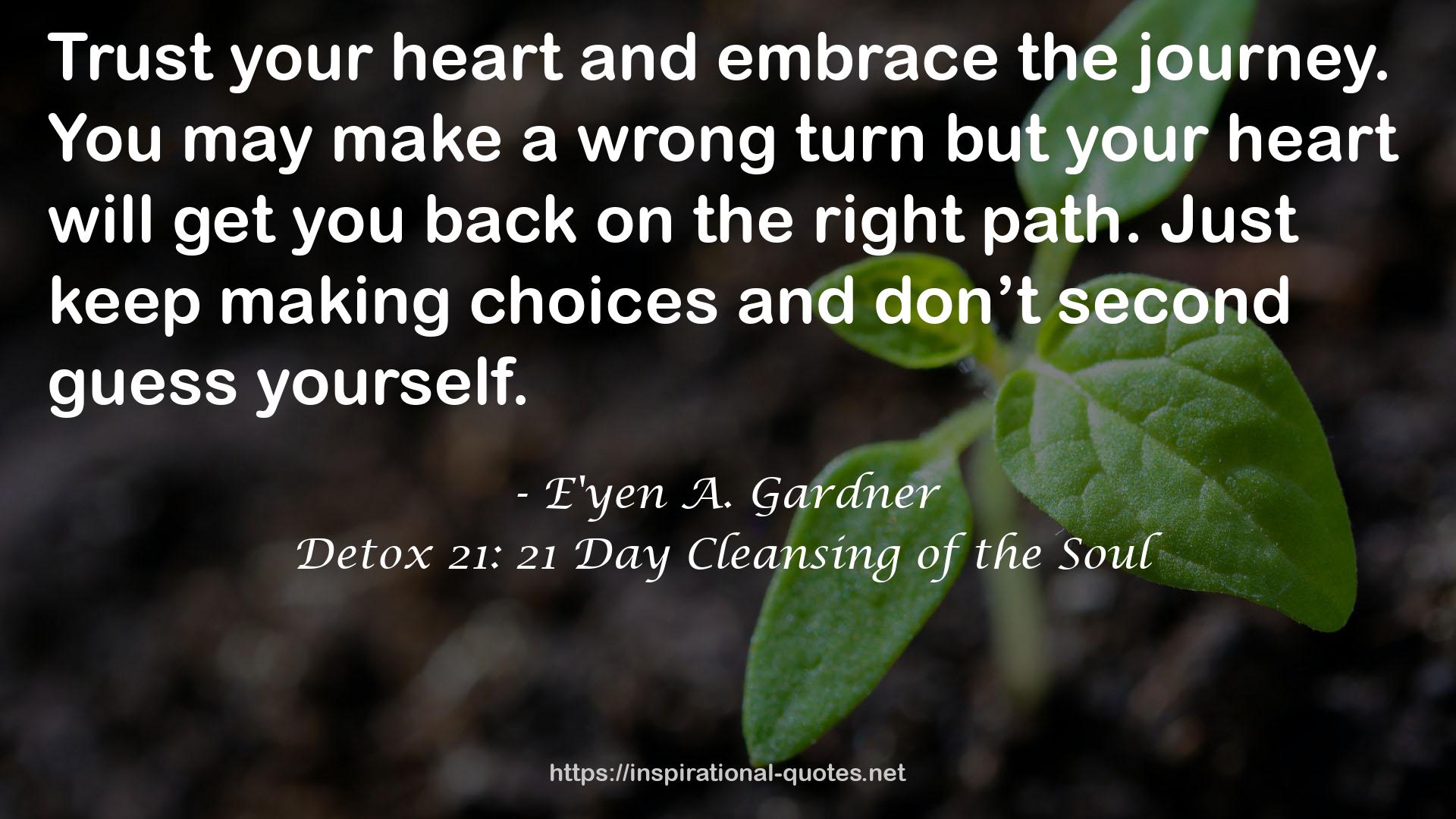 Detox 21: 21 Day Cleansing of the Soul QUOTES