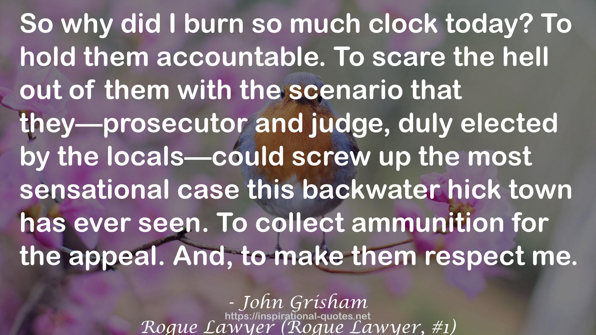 Rogue Lawyer (Rogue Lawyer, #1) QUOTES