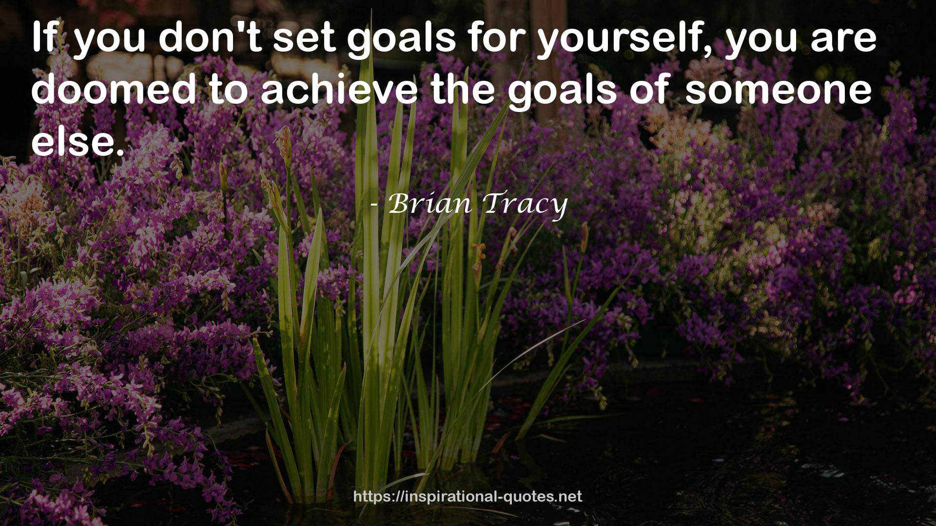 Brian Tracy QUOTES