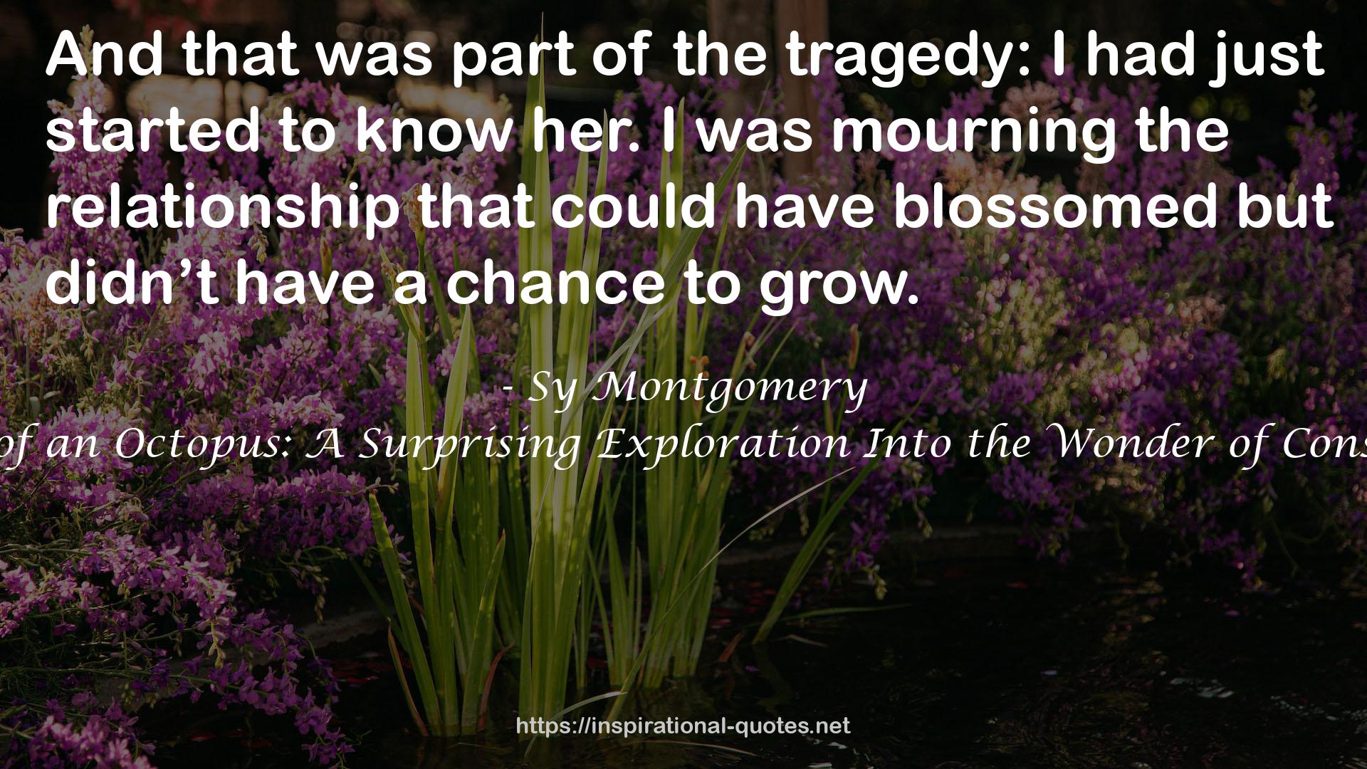 Sy Montgomery QUOTES