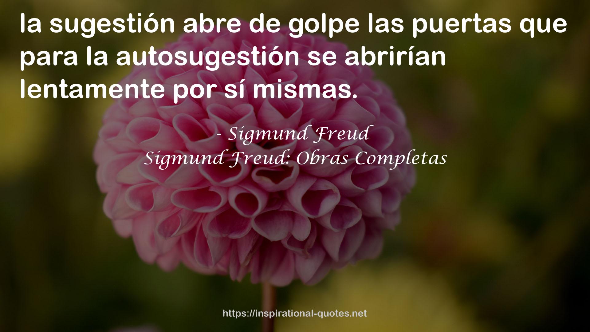 Sigmund Freud: Obras Completas QUOTES