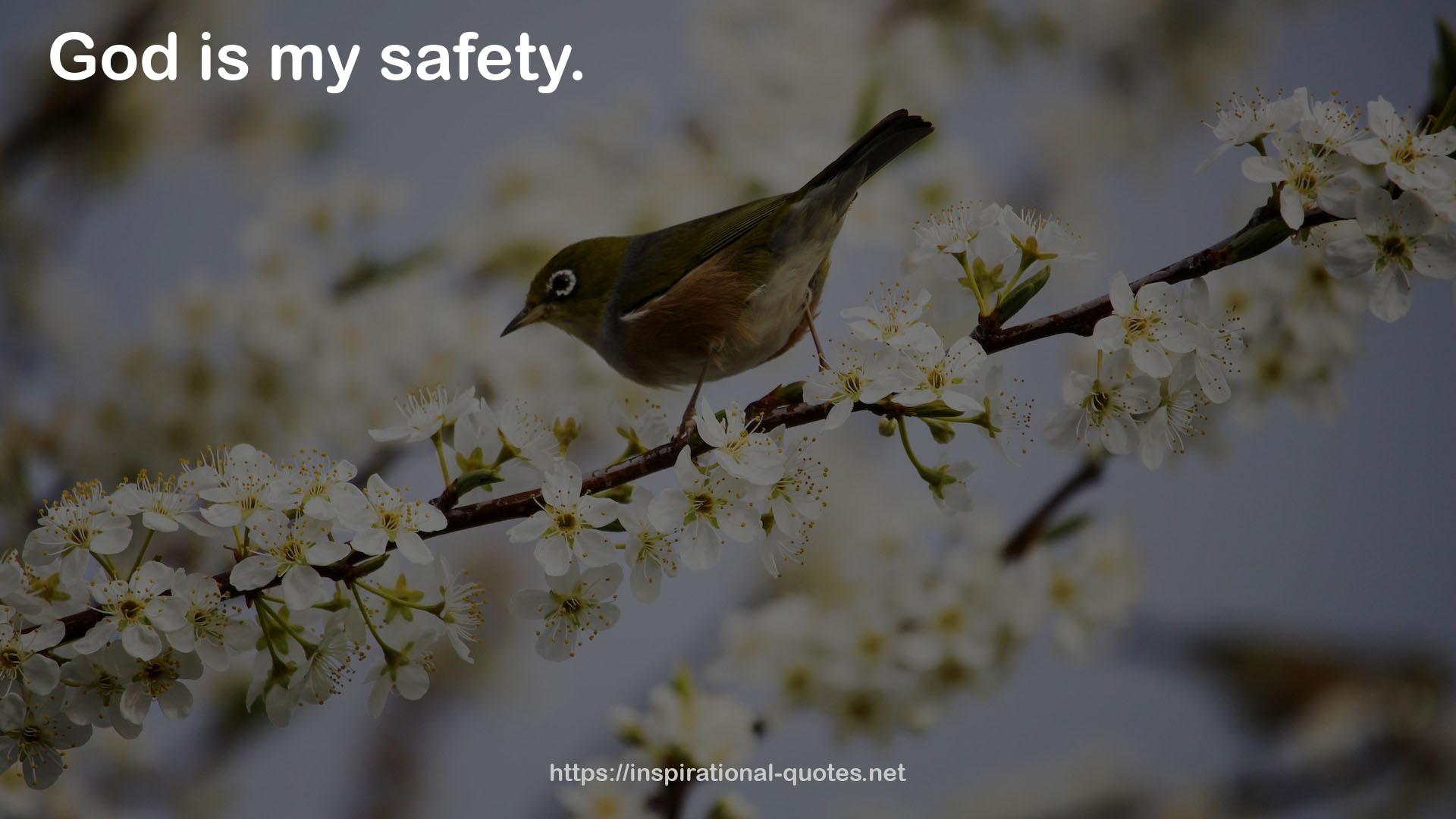 my safety  QUOTES