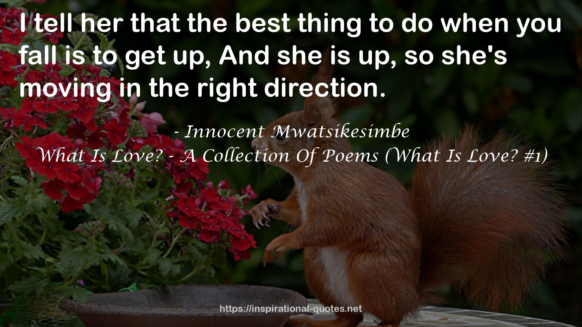 What Is Love? - A Collection Of Poems (What Is Love? #1) QUOTES