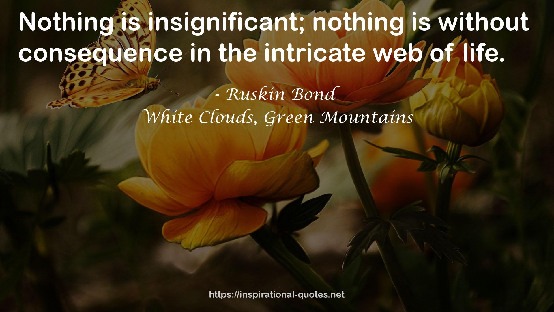 White Clouds, Green Mountains QUOTES