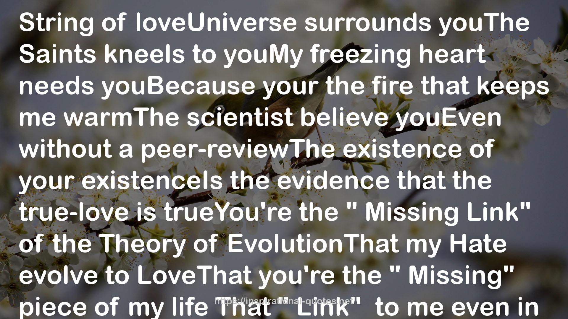 loveUniverse  QUOTES