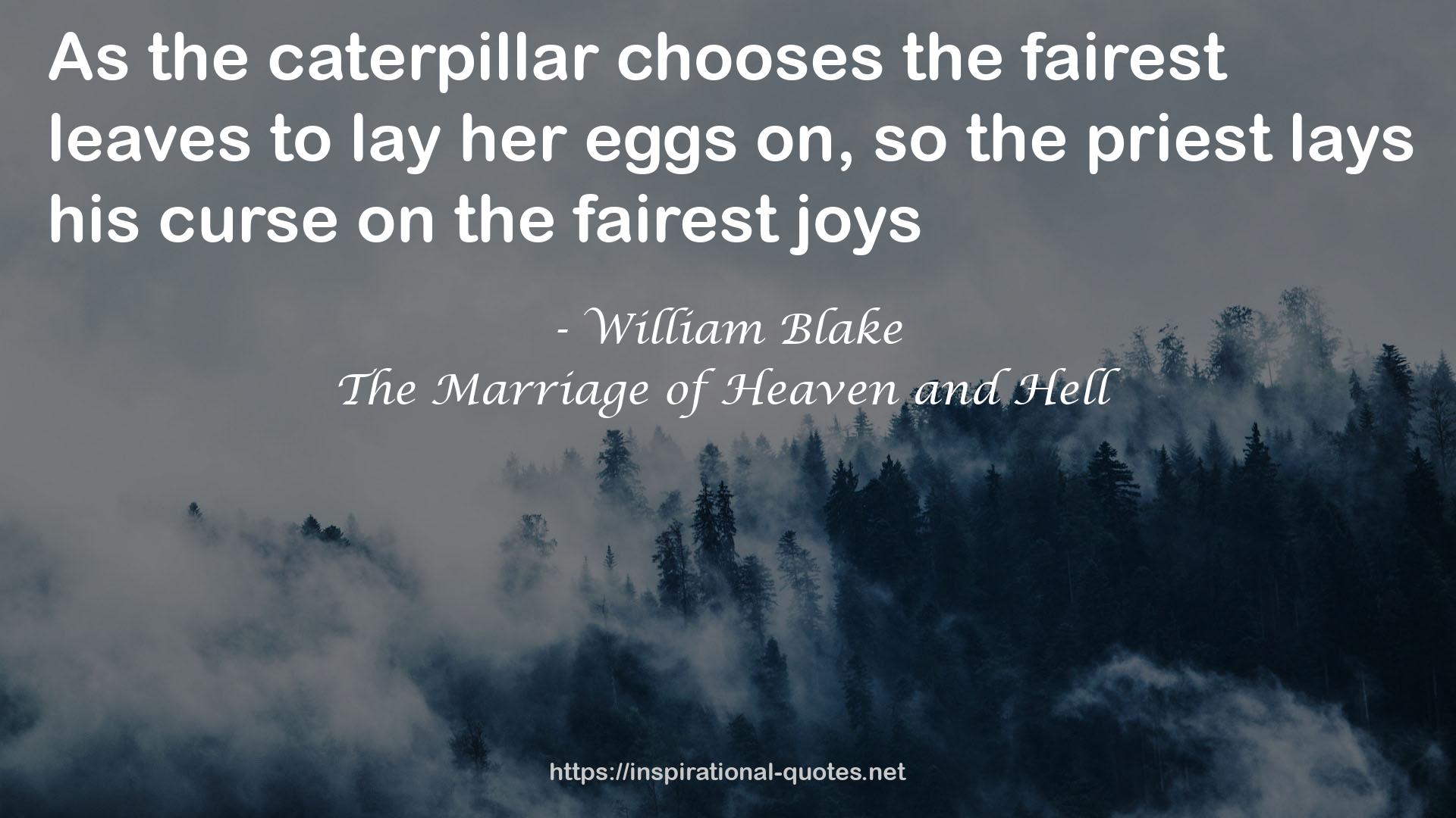 The Marriage of Heaven and Hell QUOTES