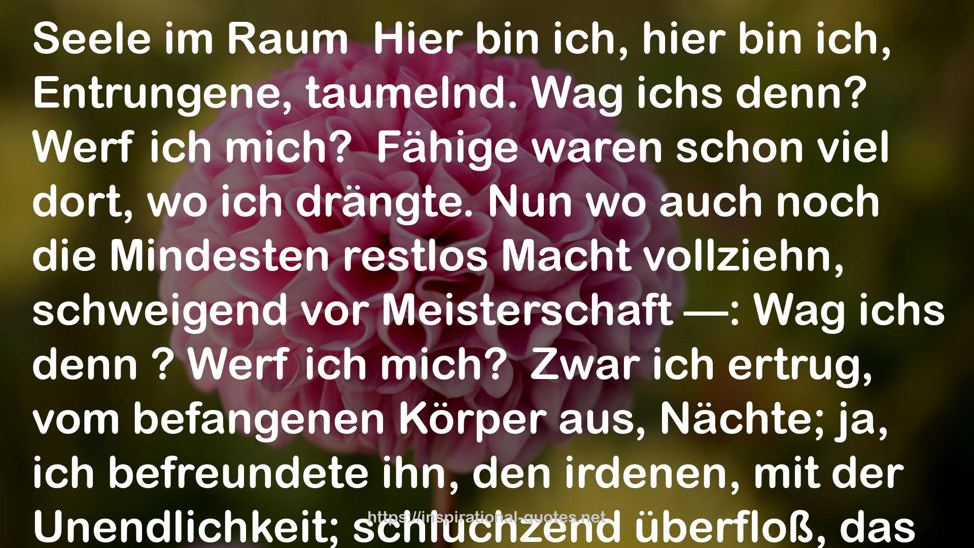 Fünfzig Gedichte QUOTES