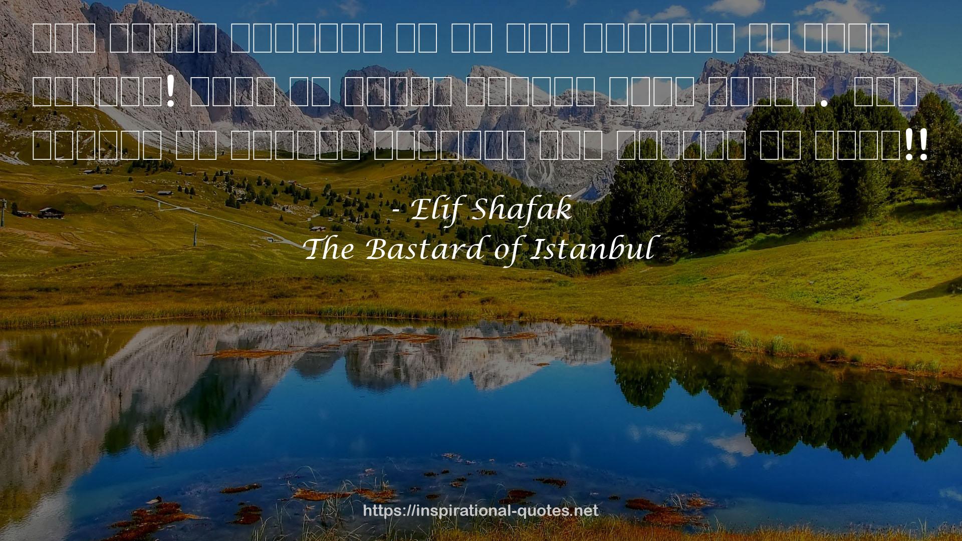 The Bastard of Istanbul QUOTES