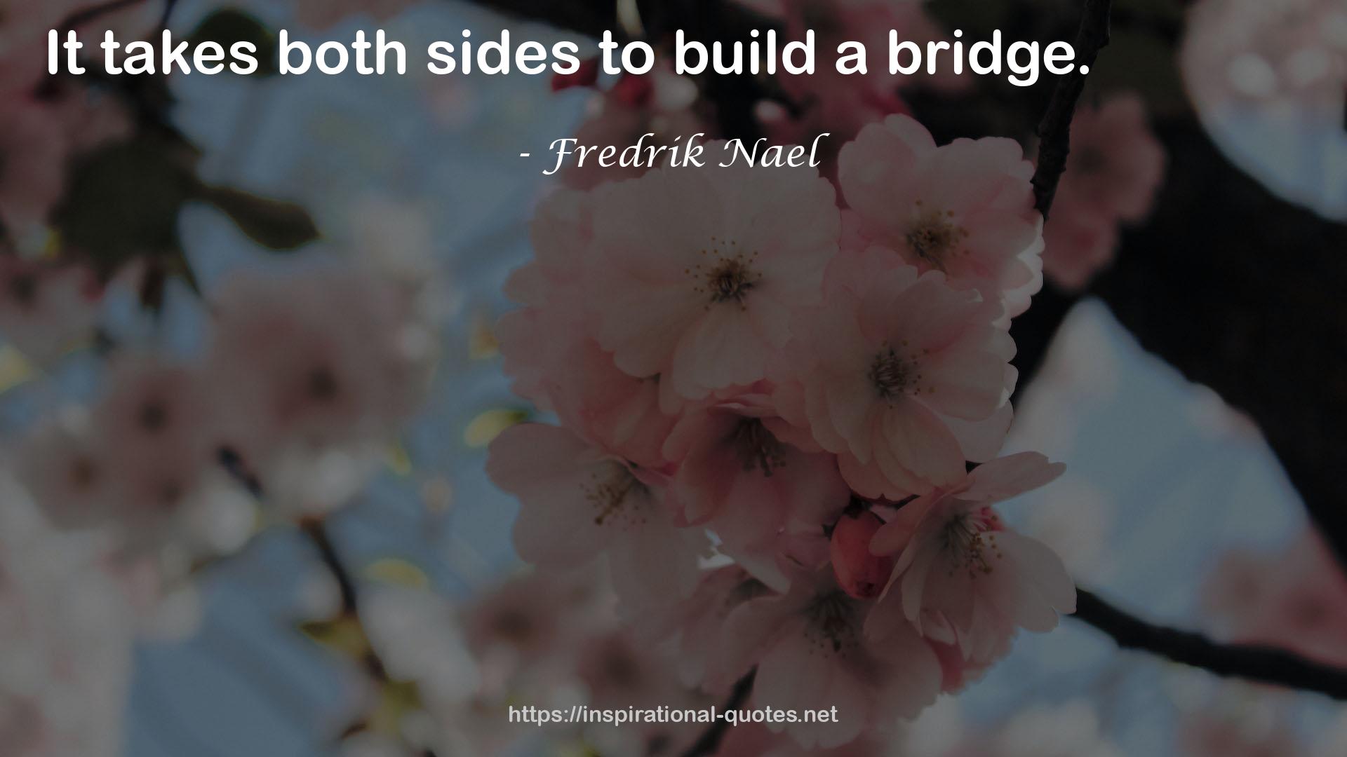 Fredrik Nael QUOTES