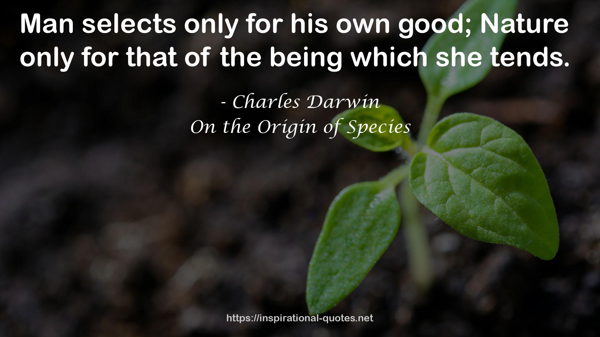 On the Origin of Species QUOTES