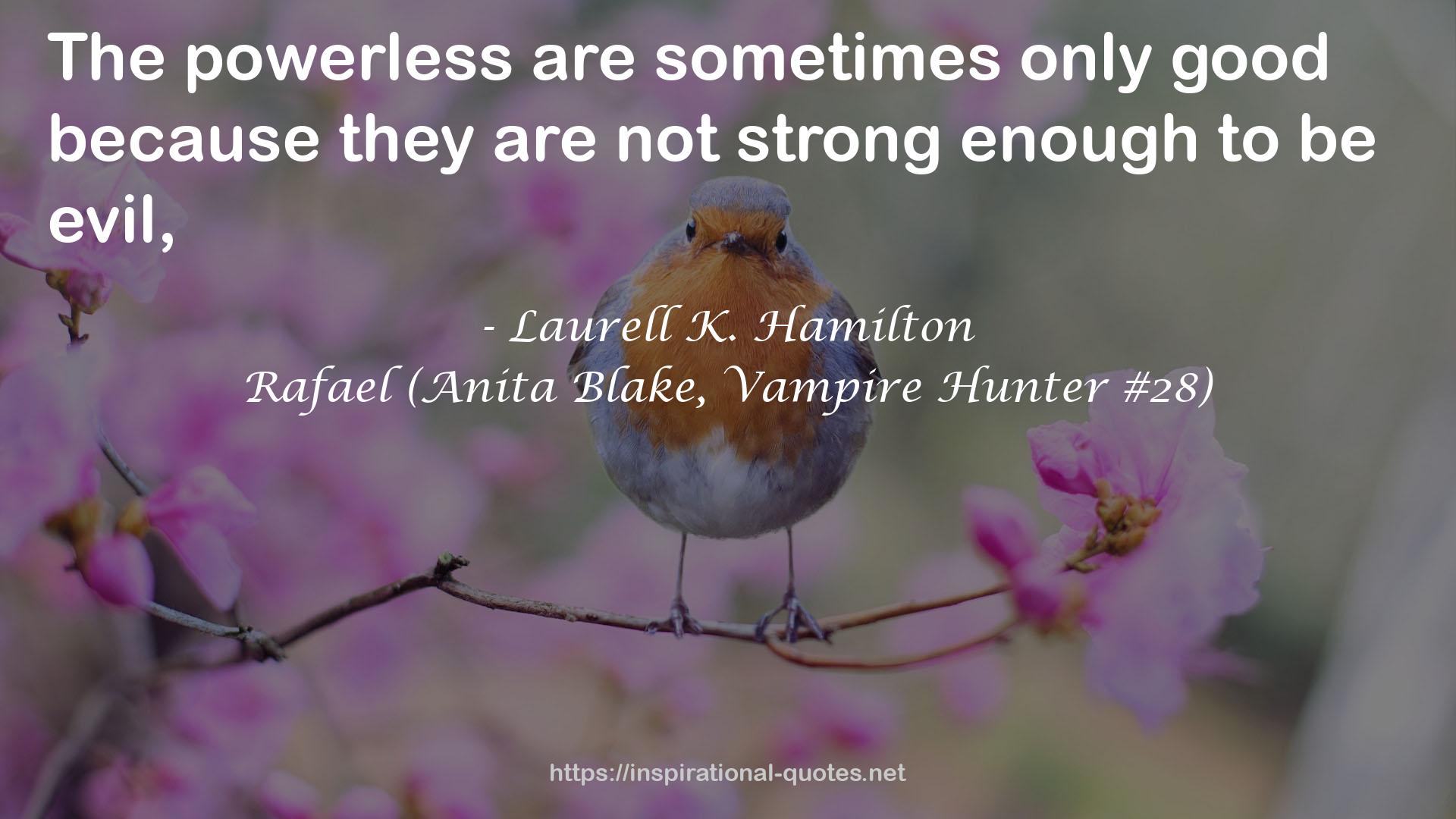 Rafael (Anita Blake, Vampire Hunter #28) QUOTES