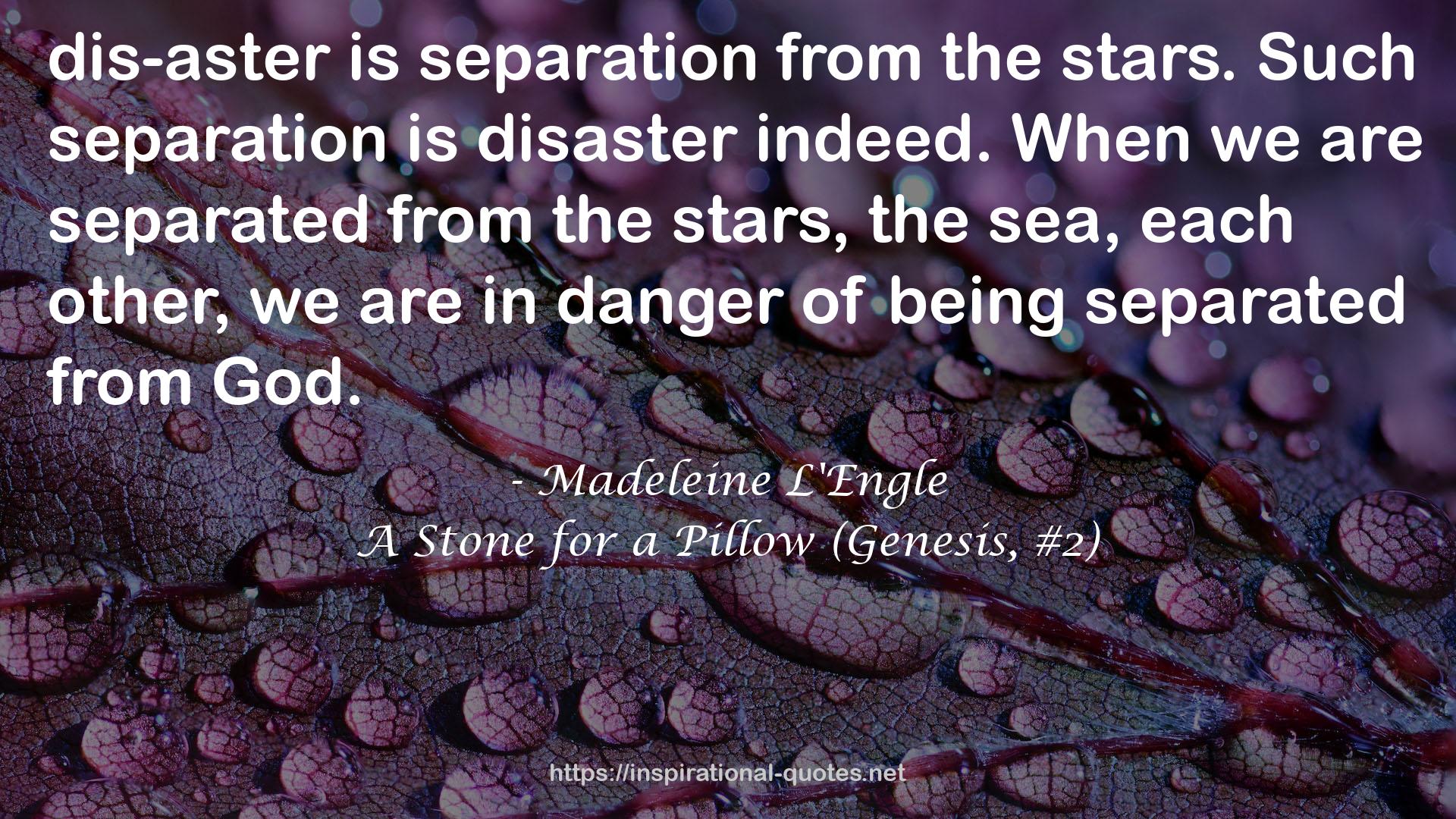 A Stone for a Pillow (Genesis, #2) QUOTES