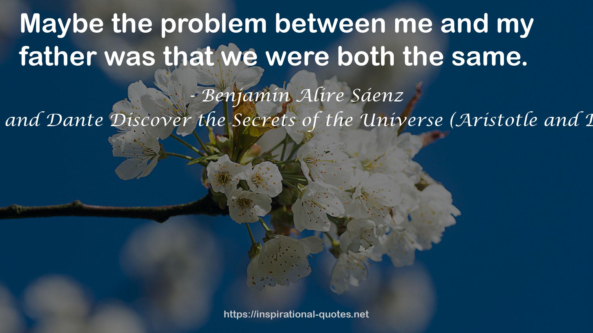 Aristotle and Dante Discover the Secrets of the Universe (Aristotle and Dante, #1) QUOTES