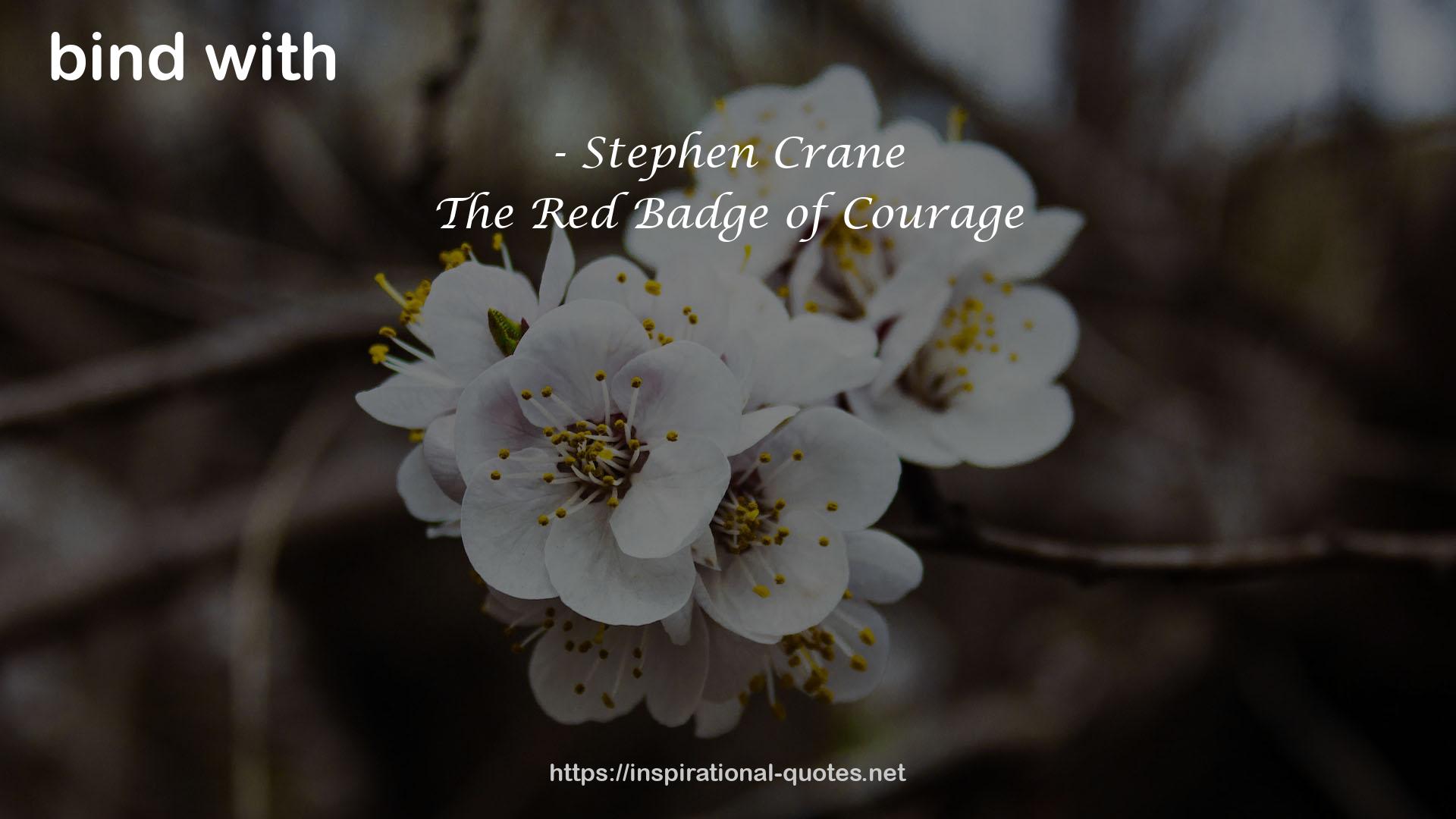 Stephen Crane QUOTES