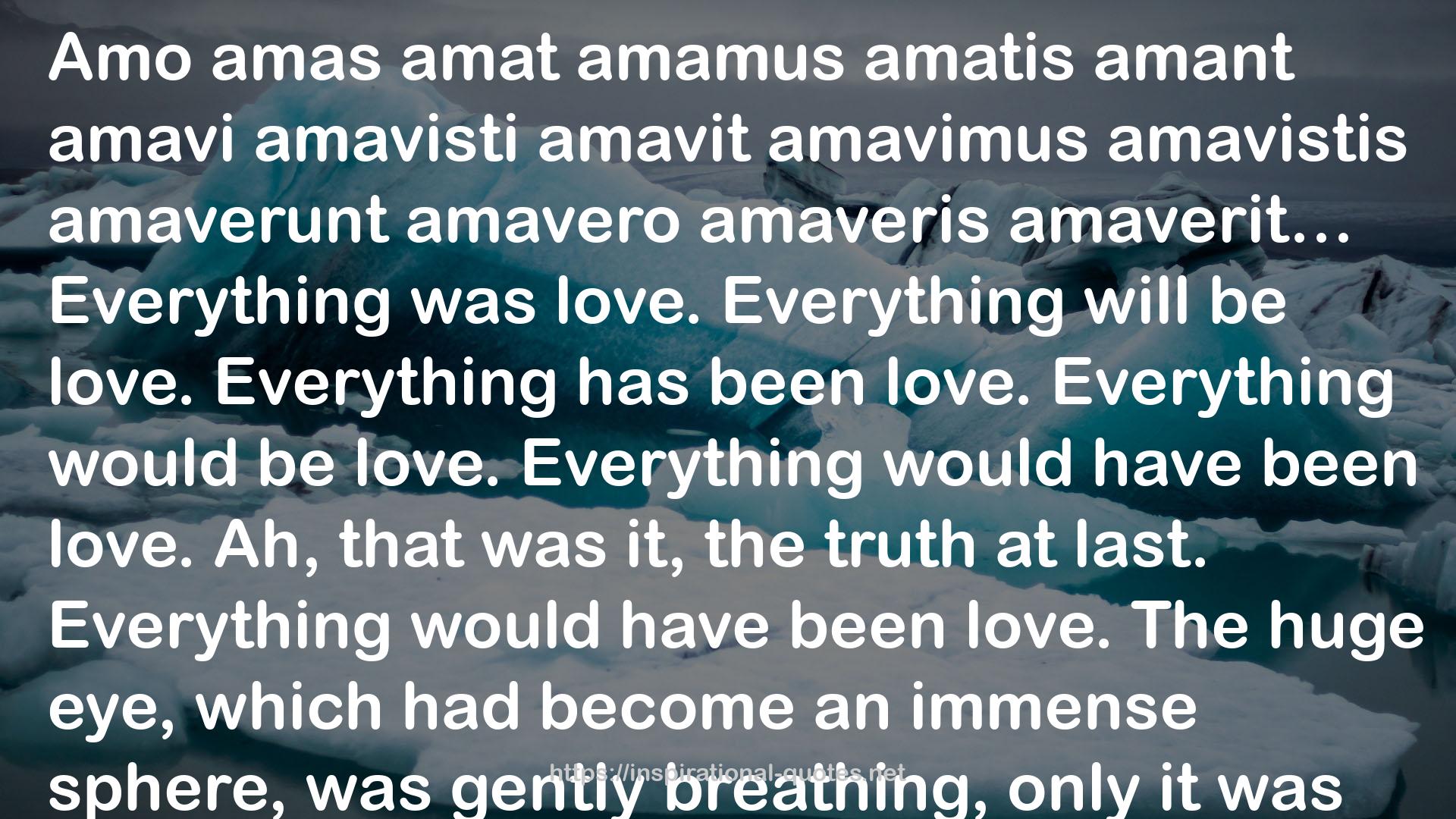 amavimus amavistis  QUOTES