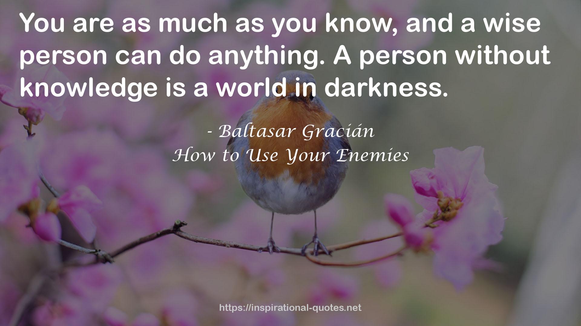 How to Use Your Enemies QUOTES