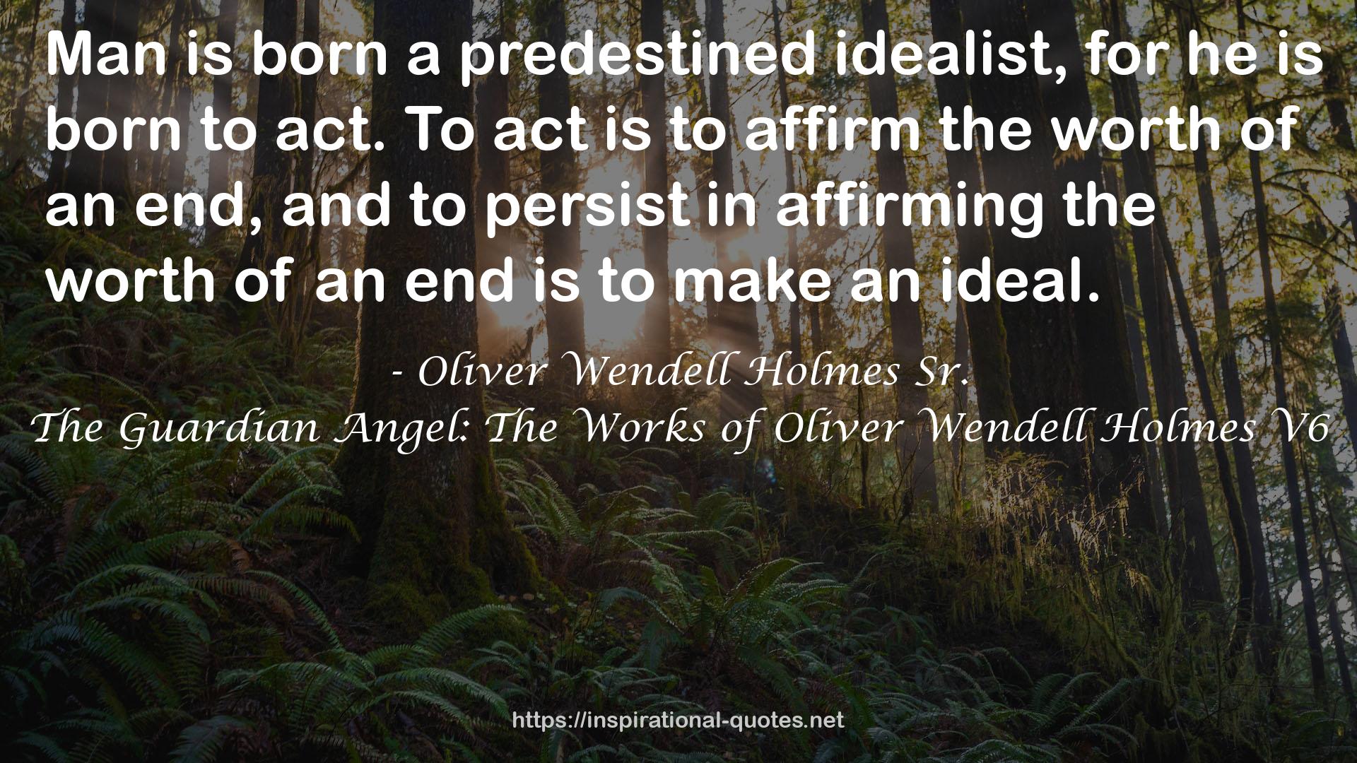 The Guardian Angel: The Works of Oliver Wendell Holmes V6 QUOTES