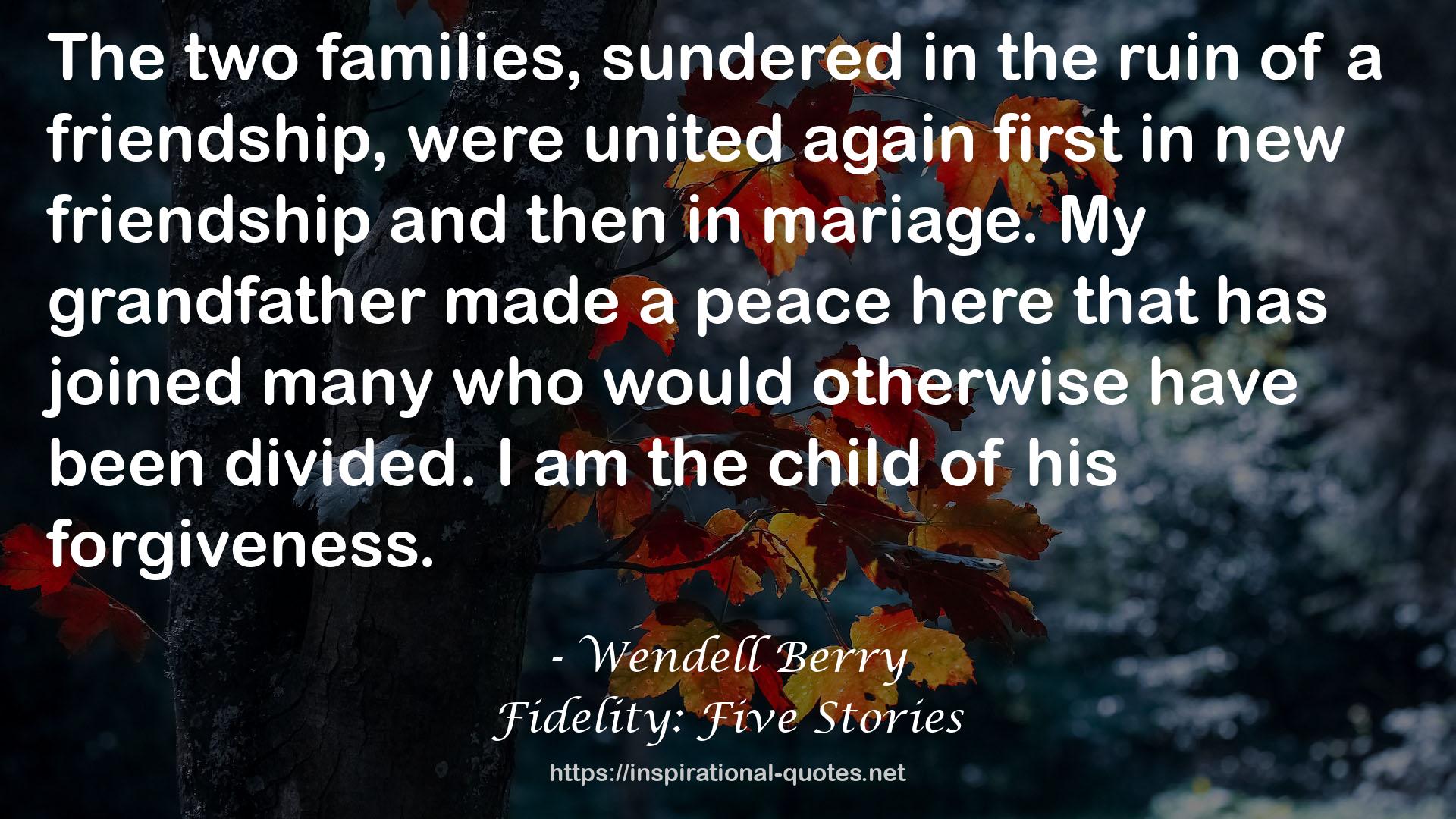 Fidelity: Five Stories QUOTES
