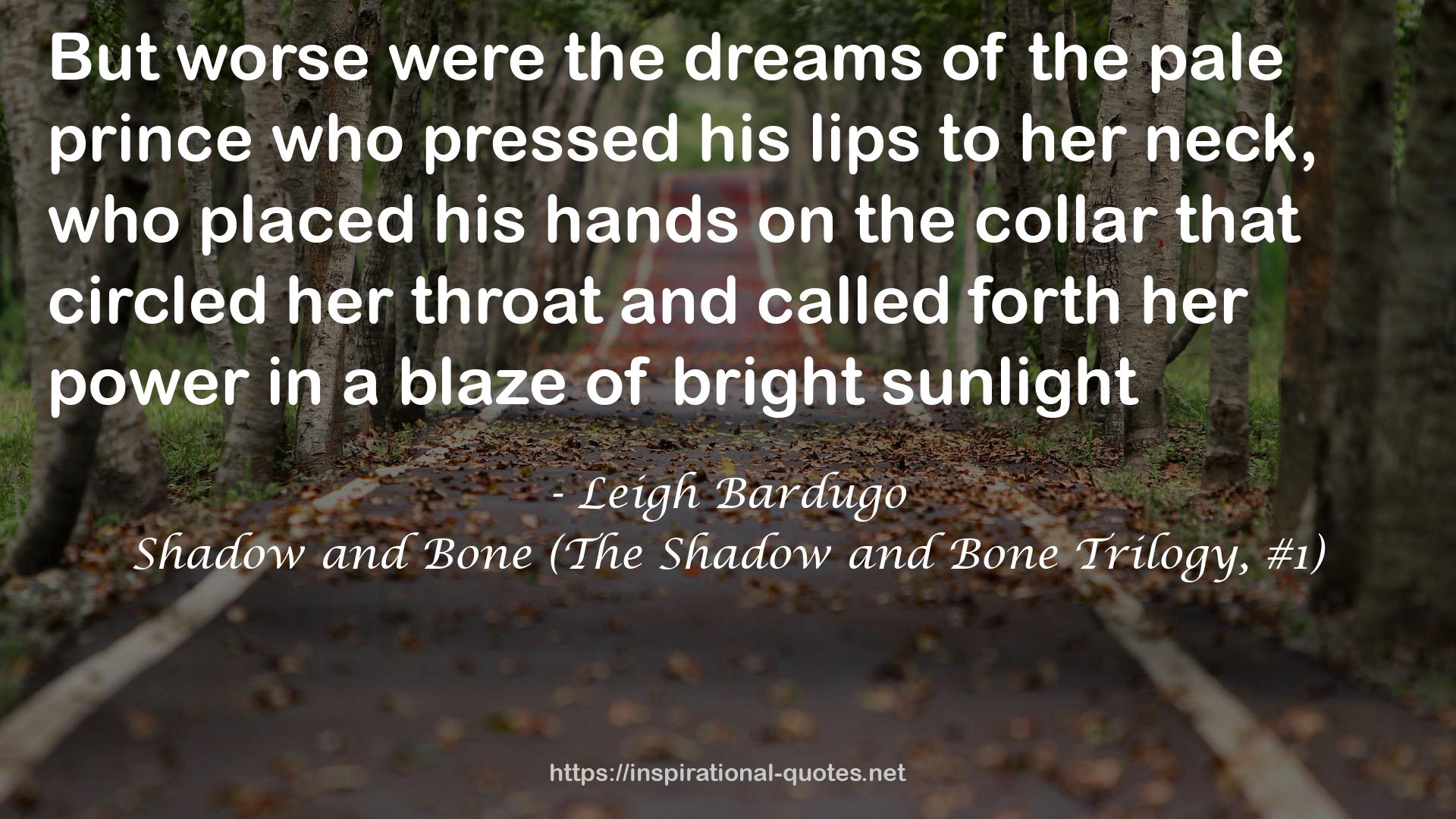 Shadow and Bone (The Shadow and Bone Trilogy, #1) QUOTES
