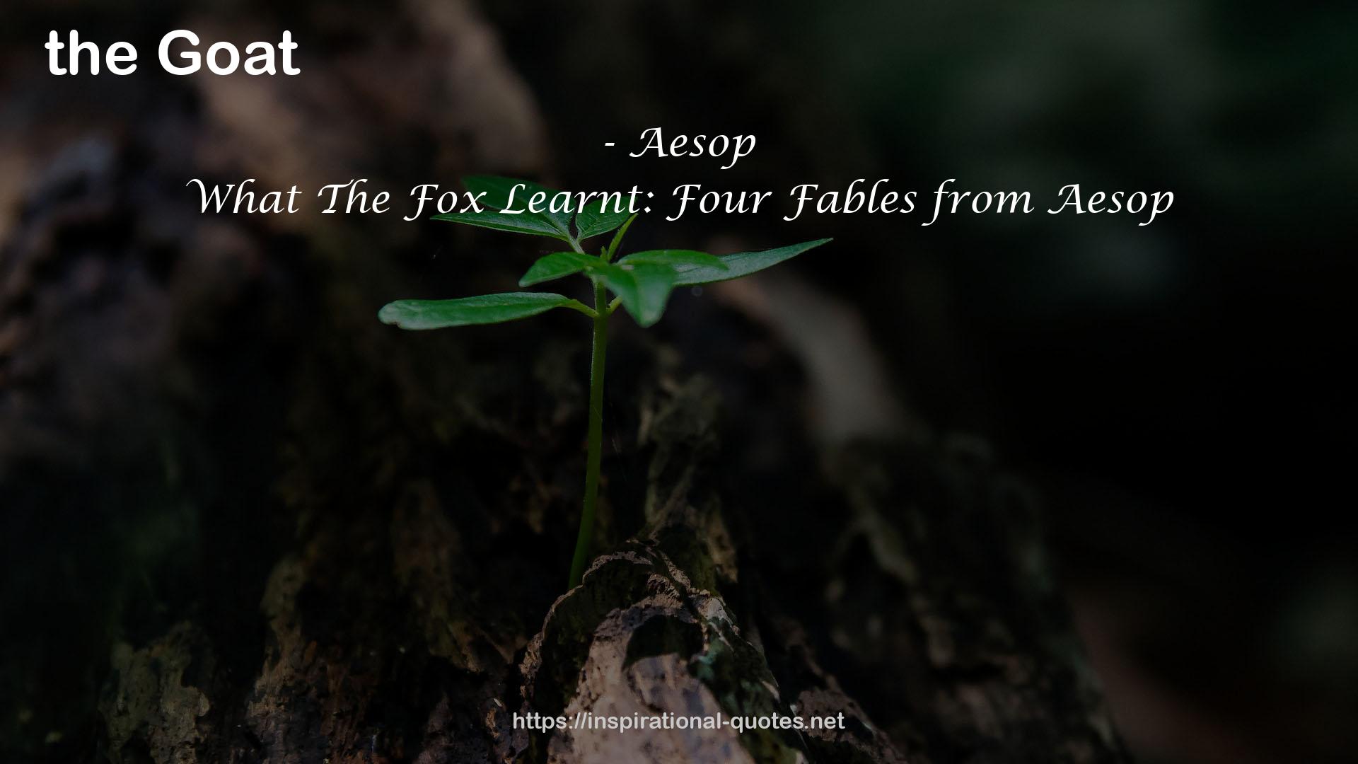What The Fox Learnt: Four Fables from Aesop QUOTES