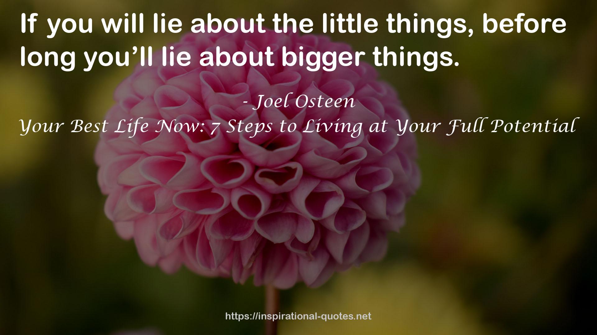 Your Best Life Now: 7 Steps to Living at Your Full Potential QUOTES
