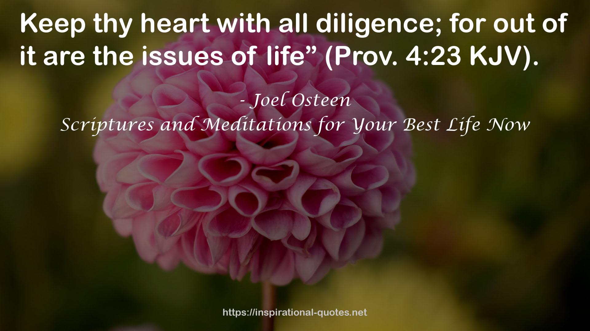 Scriptures and Meditations for Your Best Life Now QUOTES