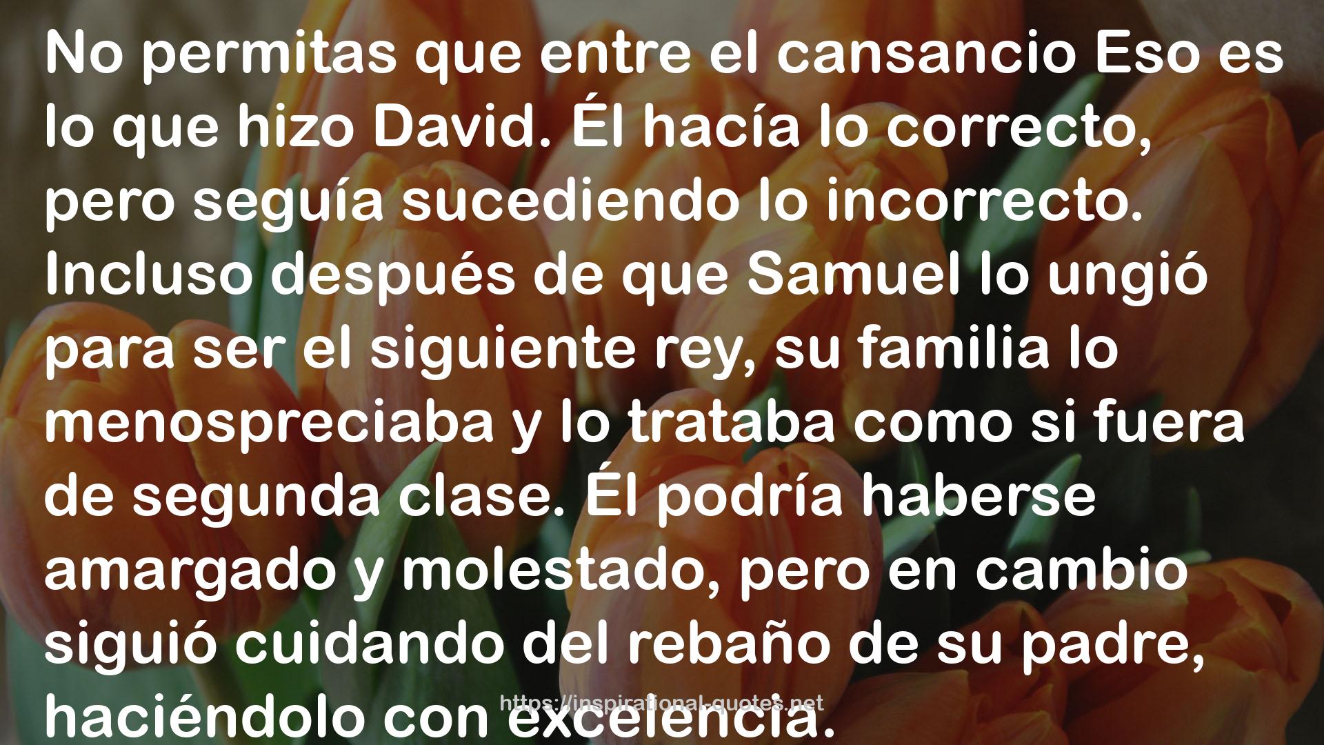 Eres más fuerte de lo que piensas: Libera el poder que te lleva más allá de lo que te limita QUOTES