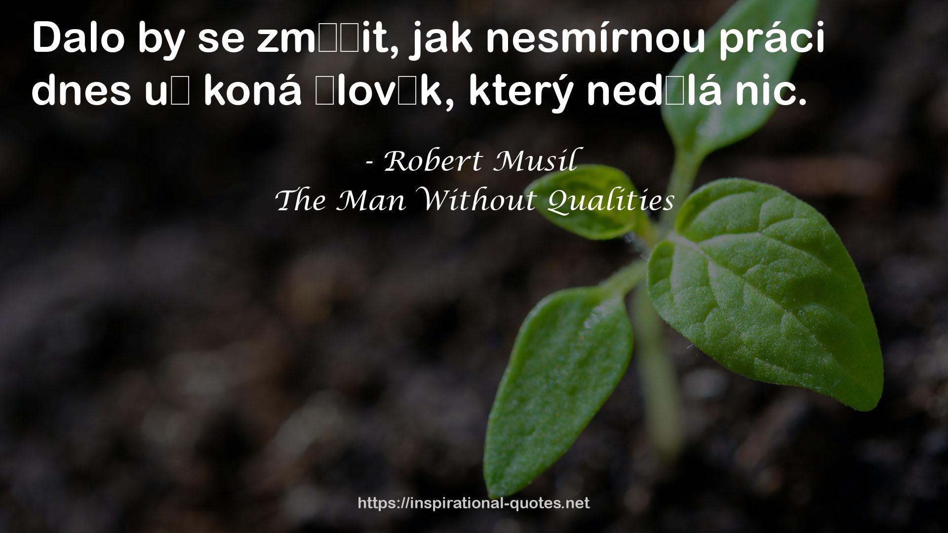 The Man Without Qualities QUOTES
