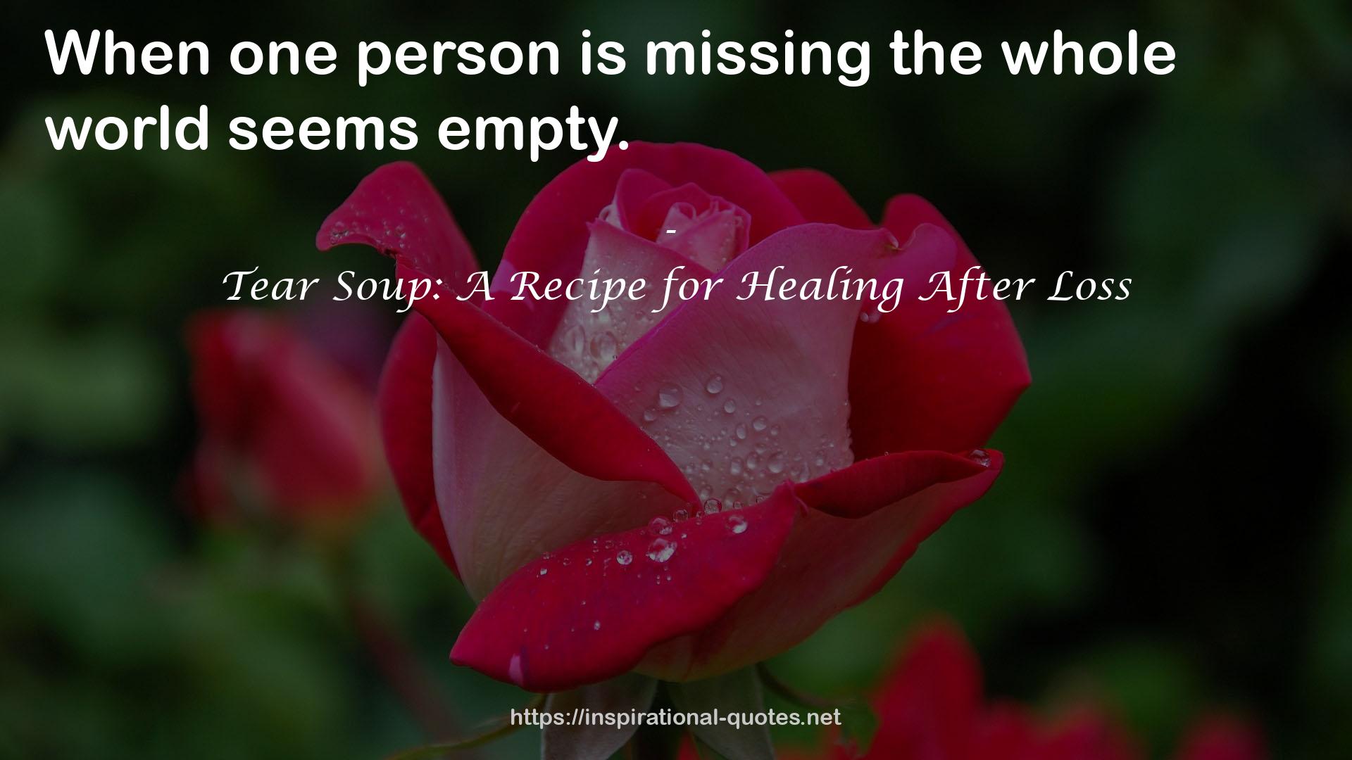 Tear Soup: A Recipe for Healing After Loss QUOTES