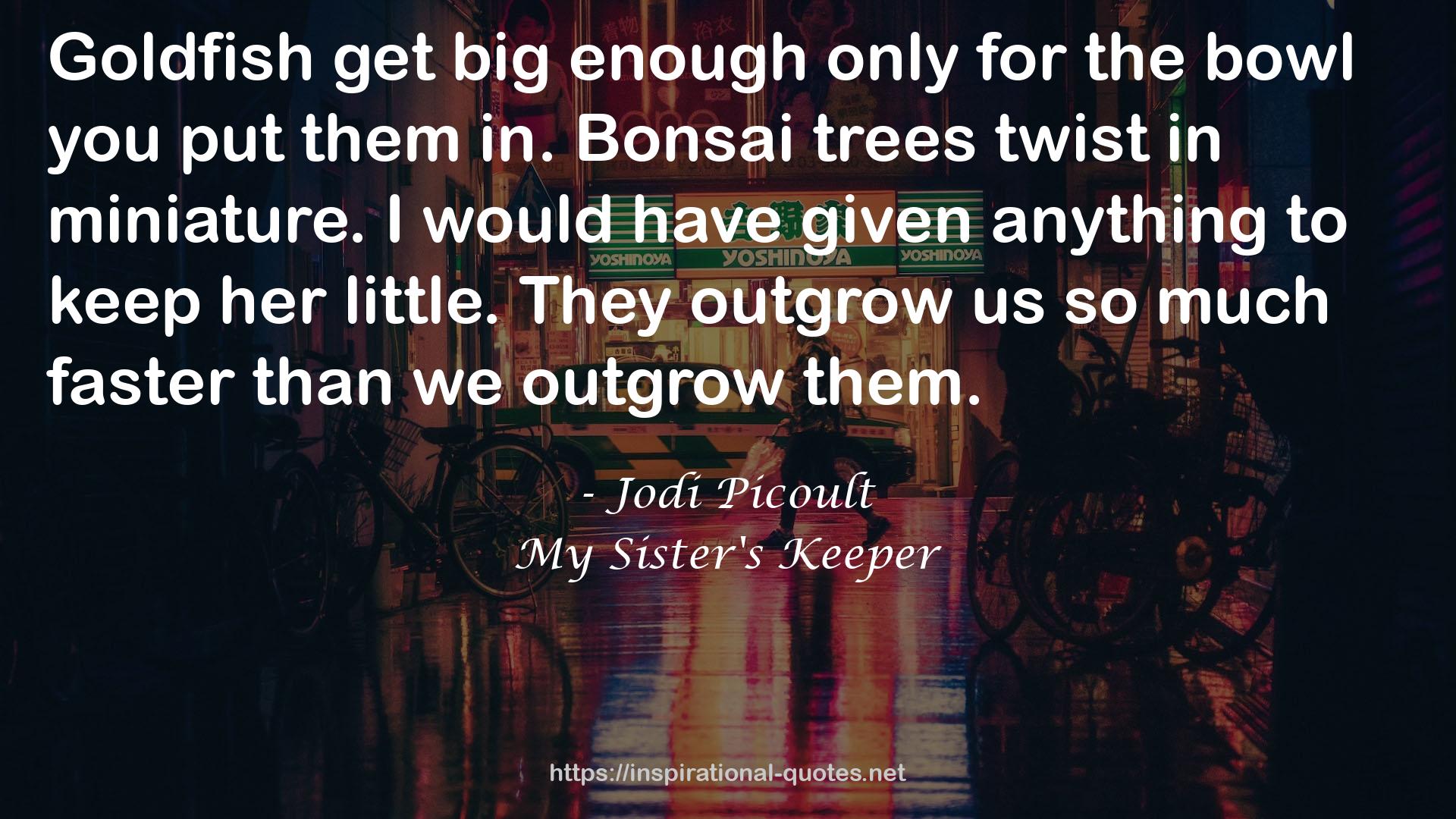 bonsai trees  QUOTES