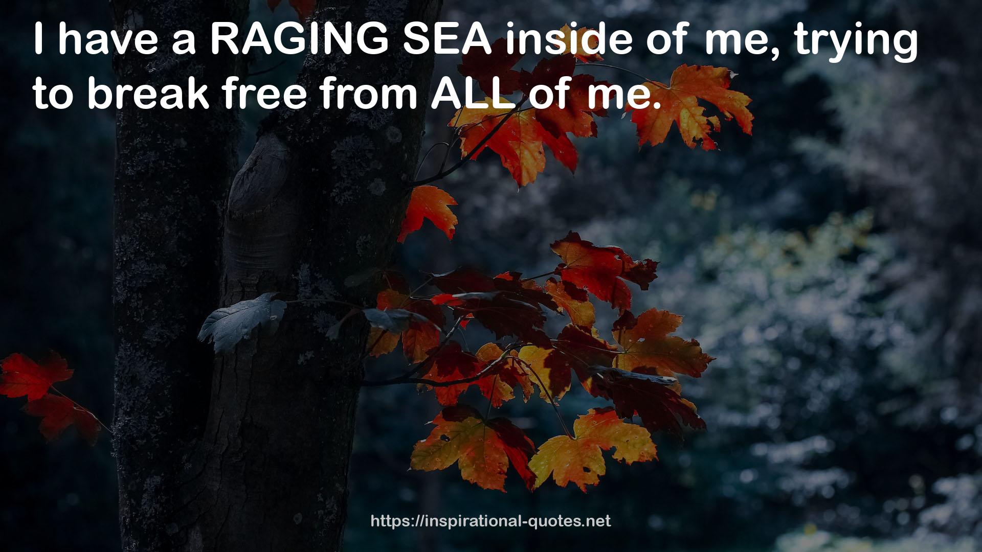 a raging sea  QUOTES