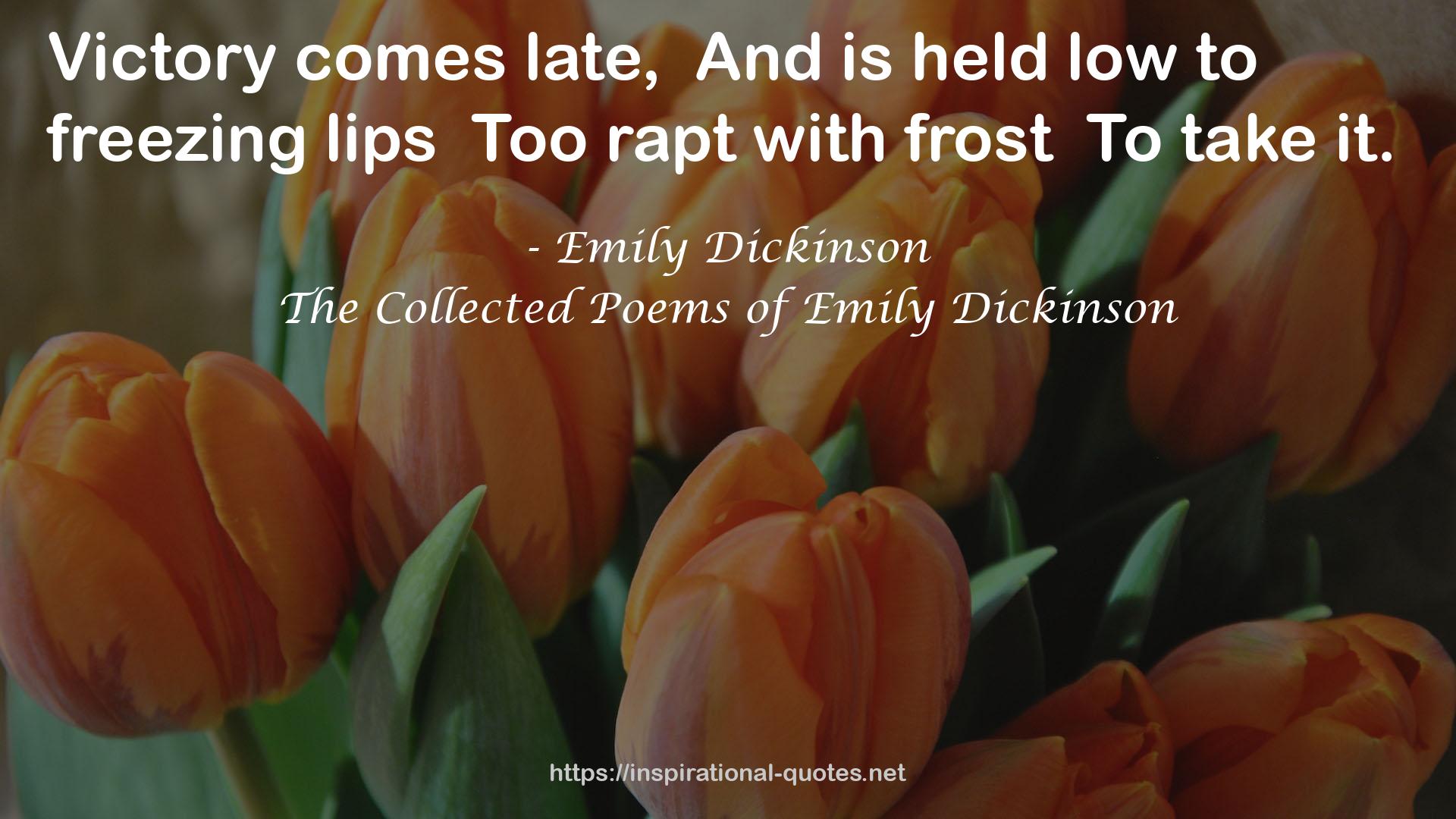 The Collected Poems of Emily Dickinson QUOTES