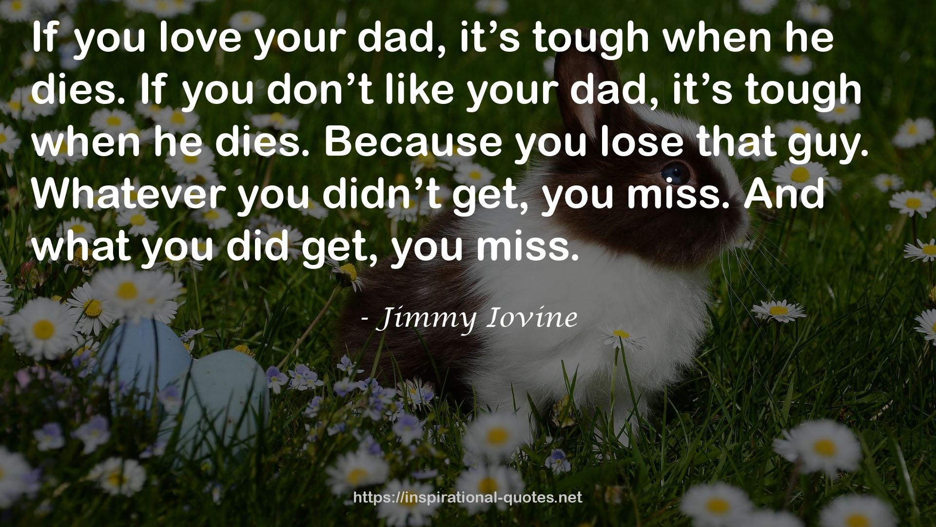 Jimmy Iovine QUOTES