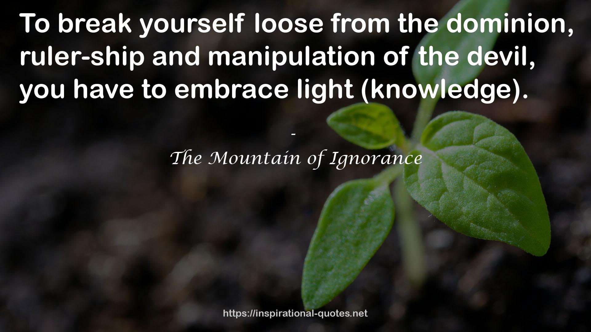 The Mountain of Ignorance QUOTES