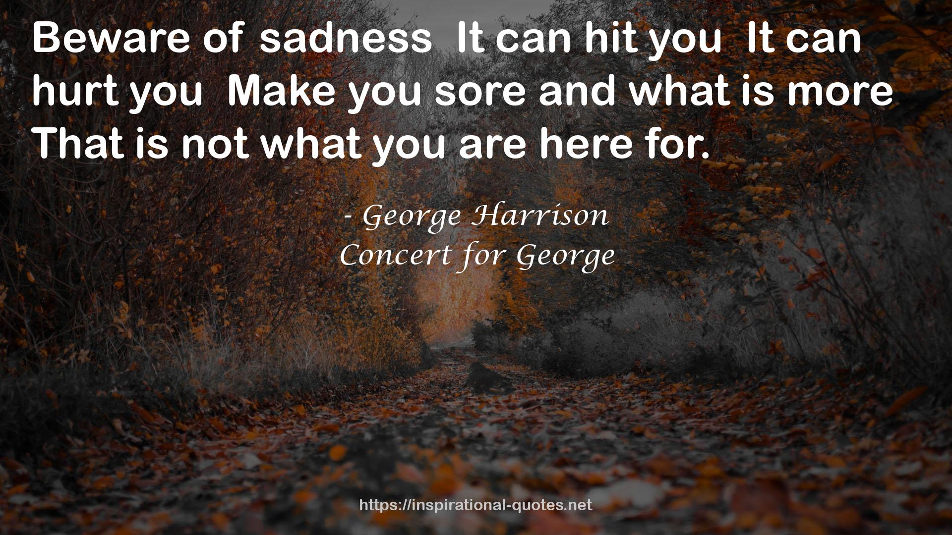 Concert for George QUOTES