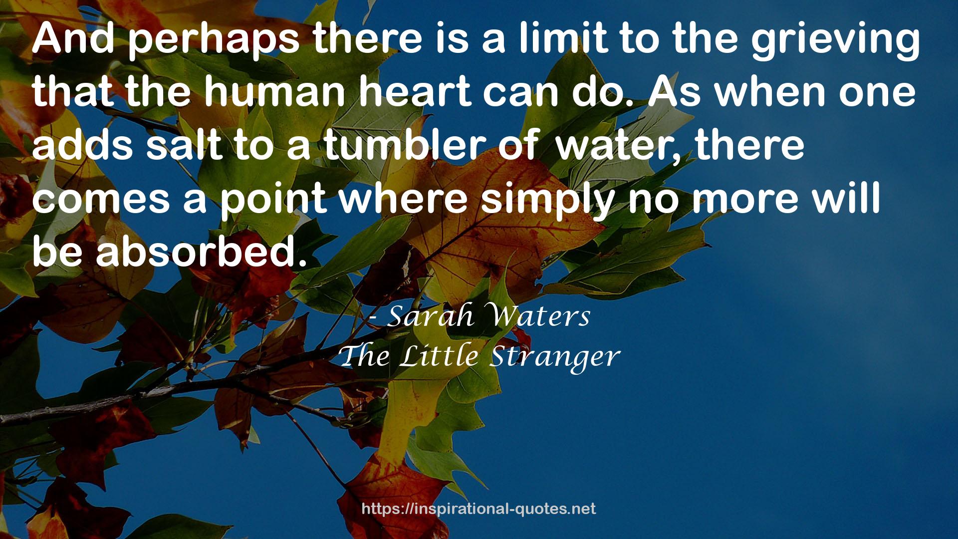 The Little Stranger QUOTES