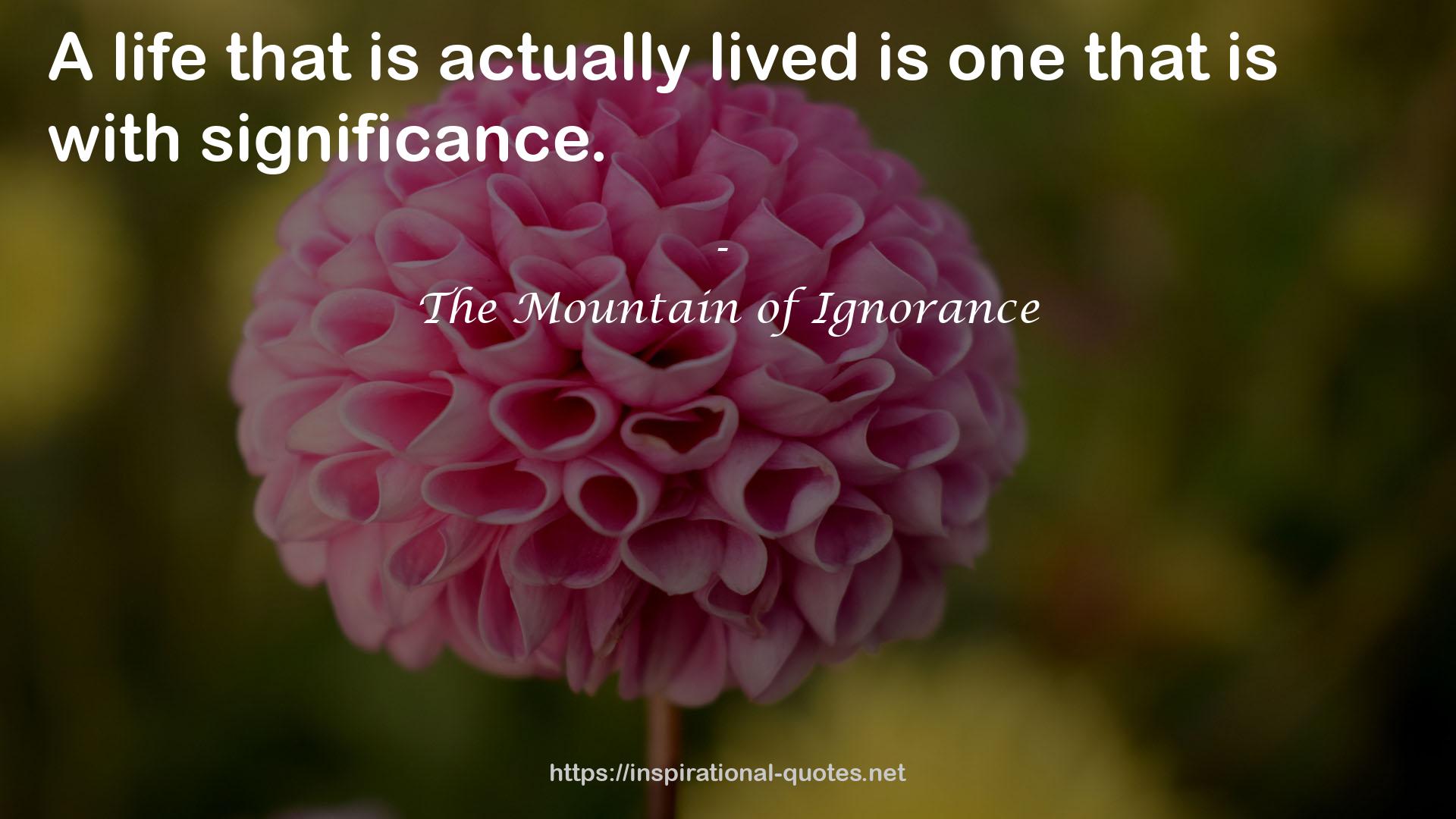 The Mountain of Ignorance QUOTES