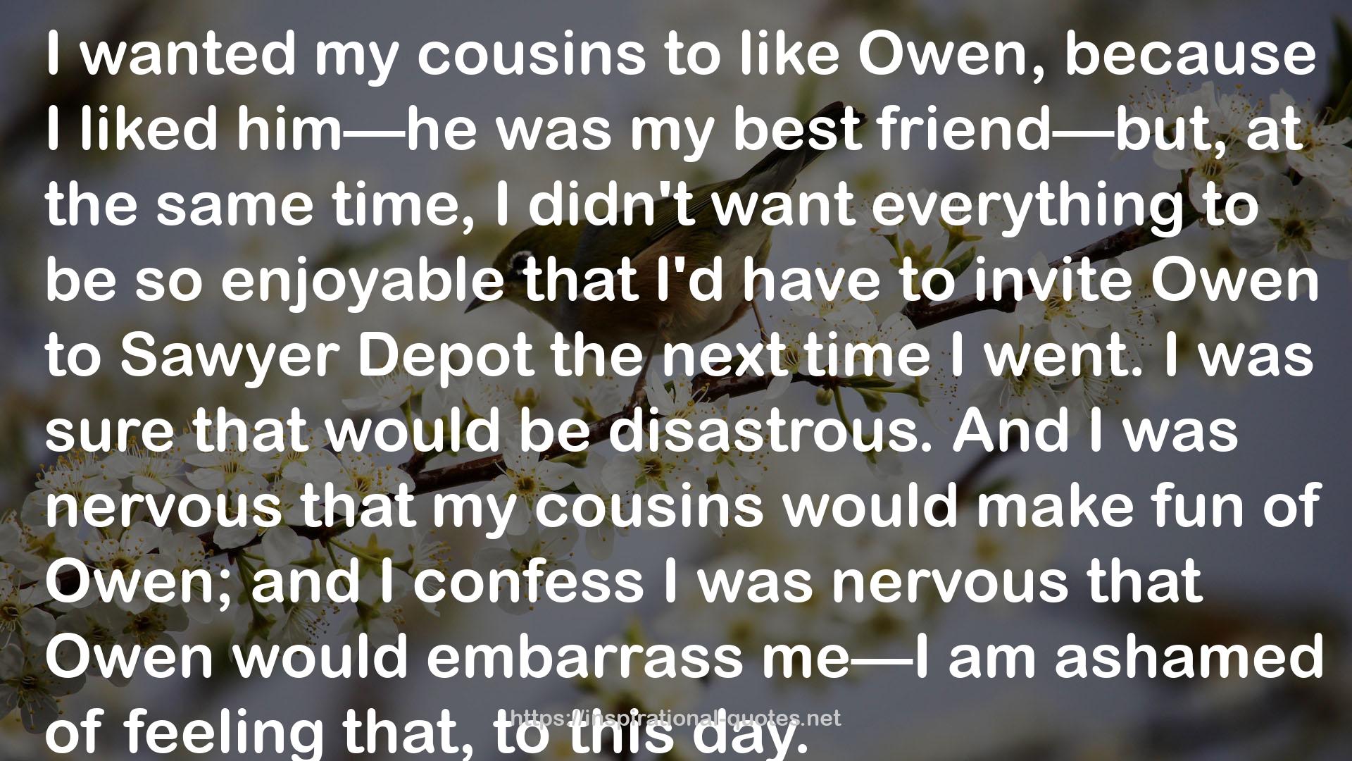 A Prayer for Owen Meany QUOTES