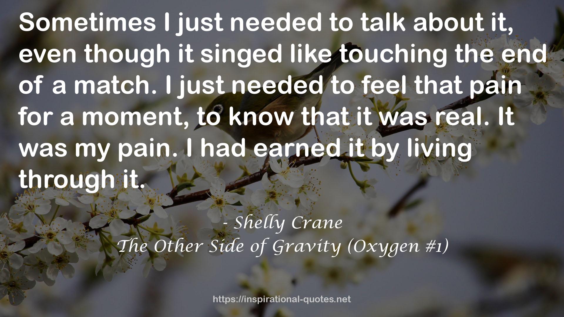 The Other Side of Gravity (Oxygen #1) QUOTES