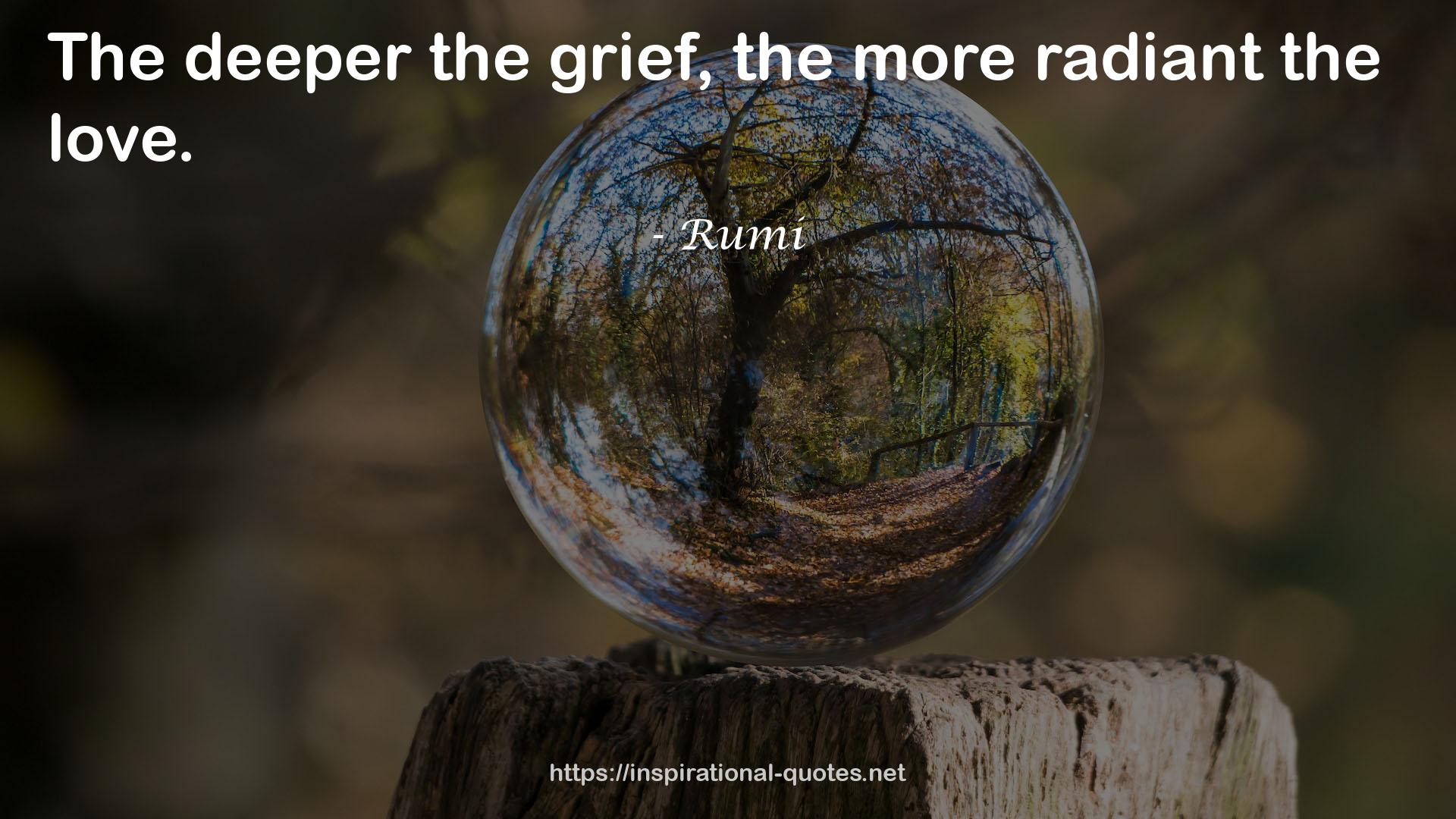 Rumi QUOTES