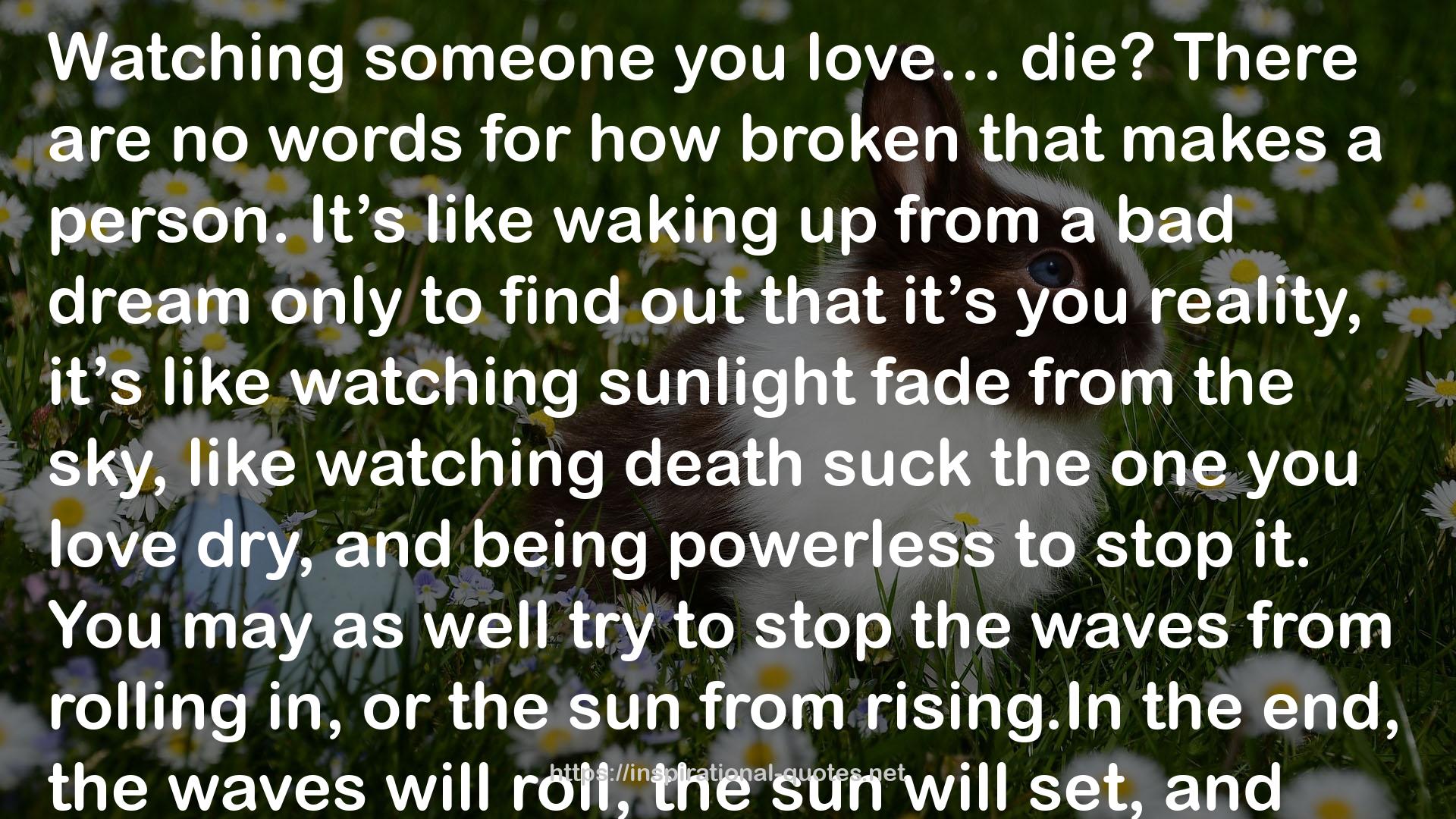 sunlight fade  QUOTES