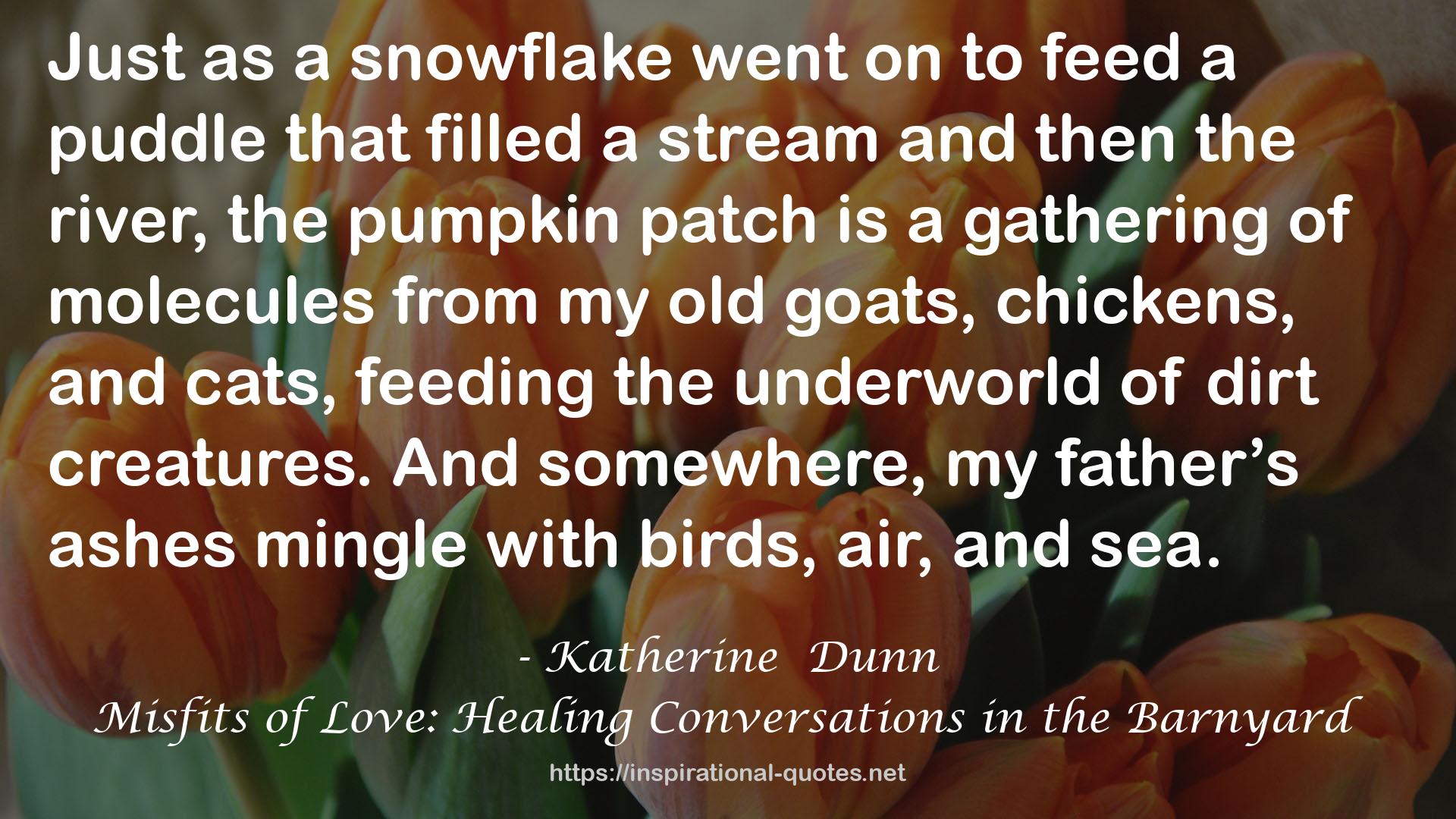 Misfits of Love: Healing Conversations in the Barnyard QUOTES
