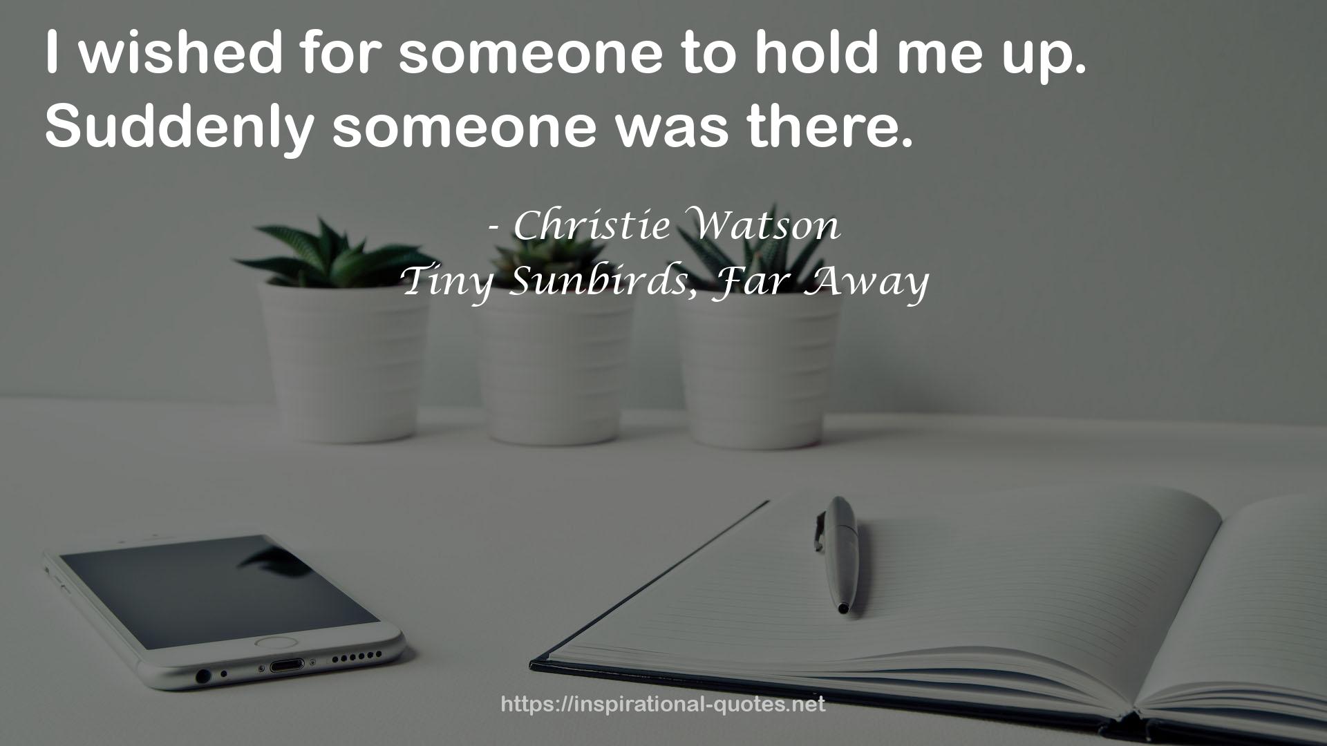 Tiny Sunbirds, Far Away QUOTES