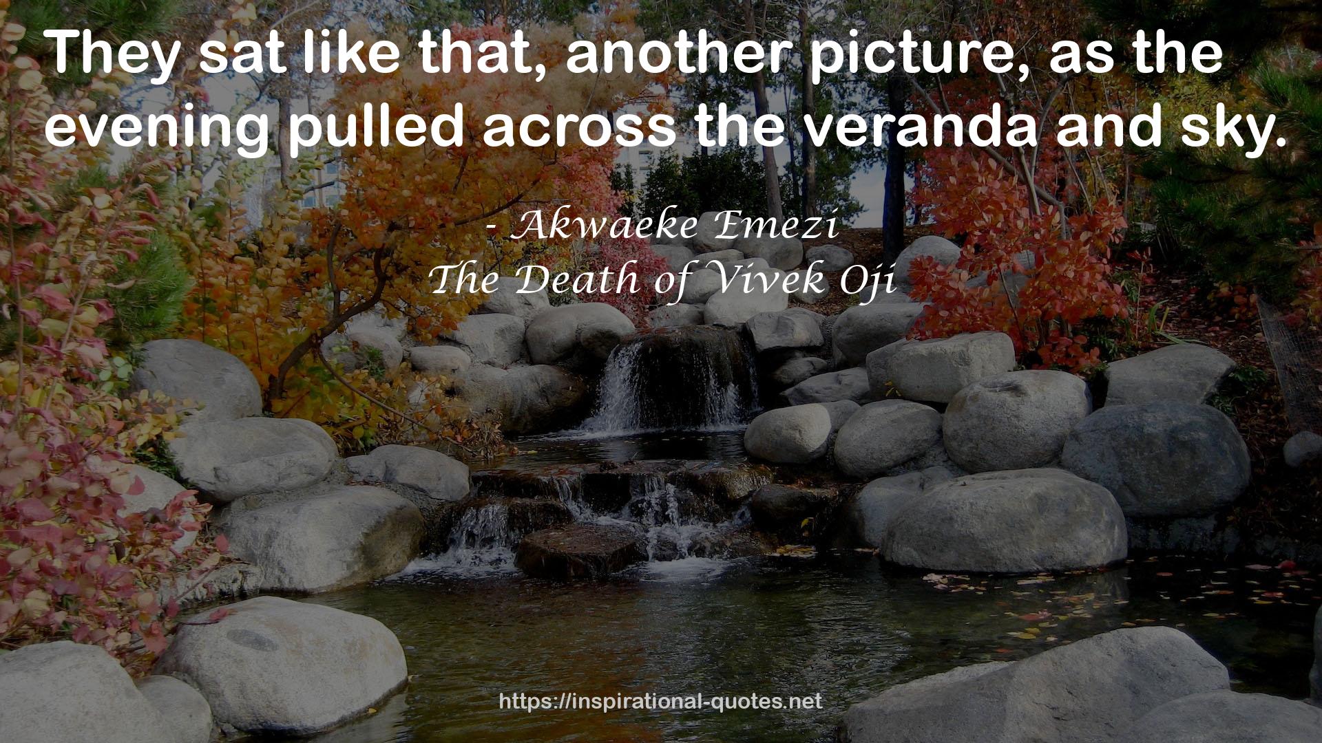 The Death of Vivek Oji QUOTES