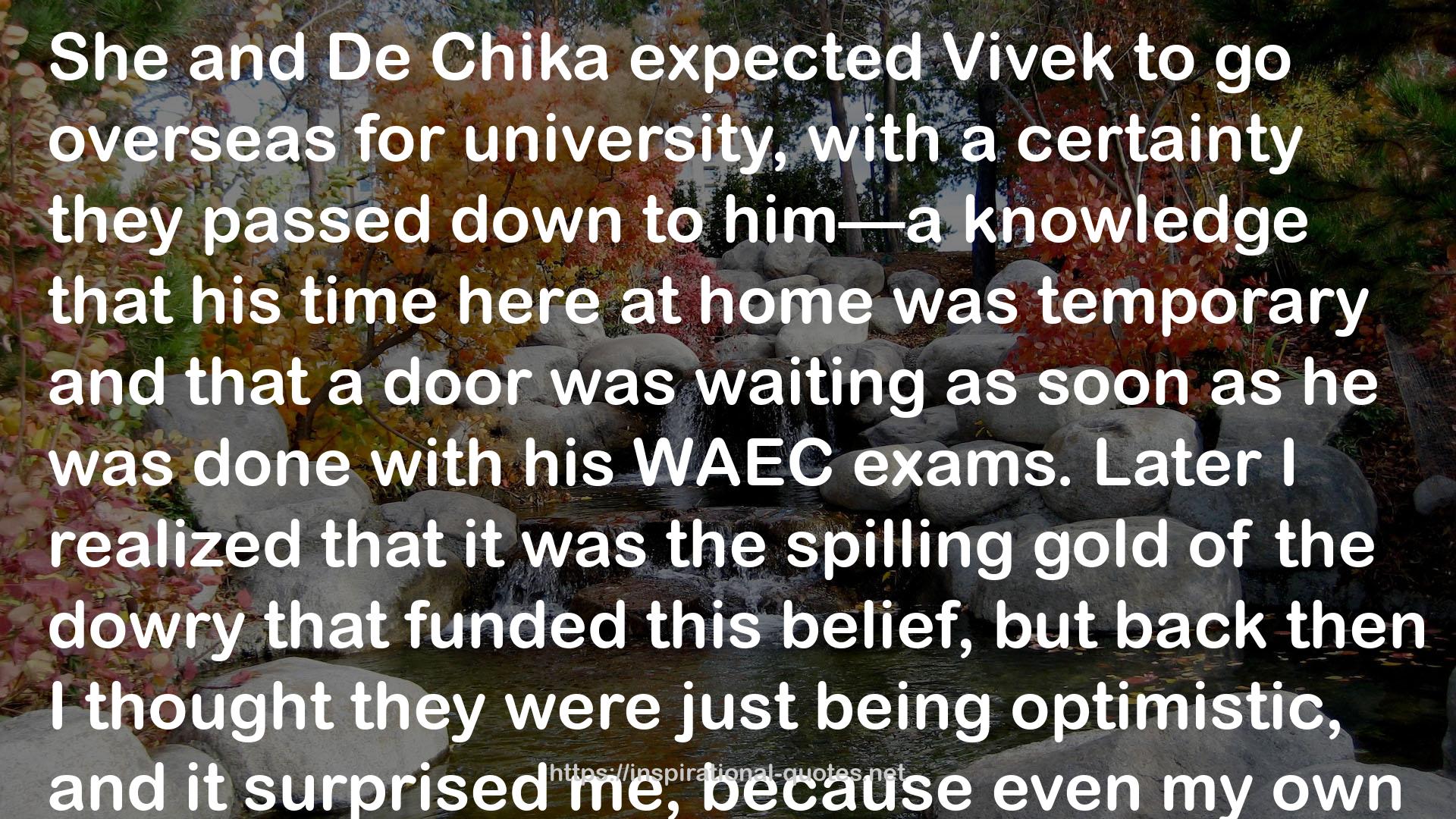 The Death of Vivek Oji QUOTES