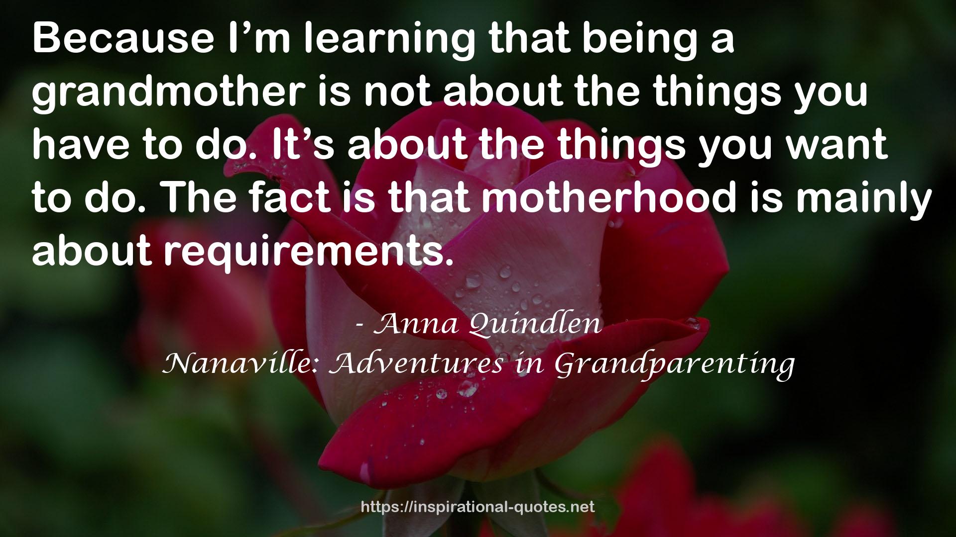 Anna Quindlen QUOTES