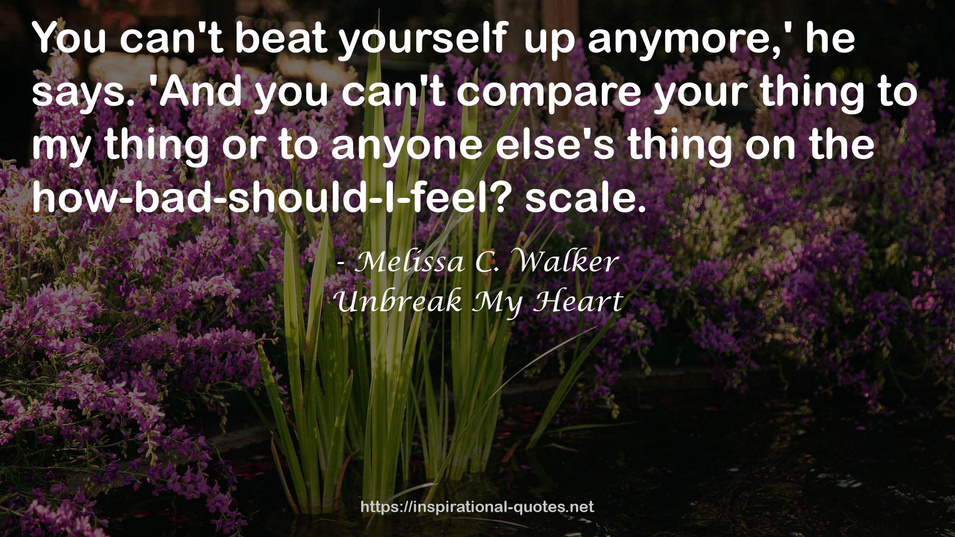 Melissa C. Walker QUOTES